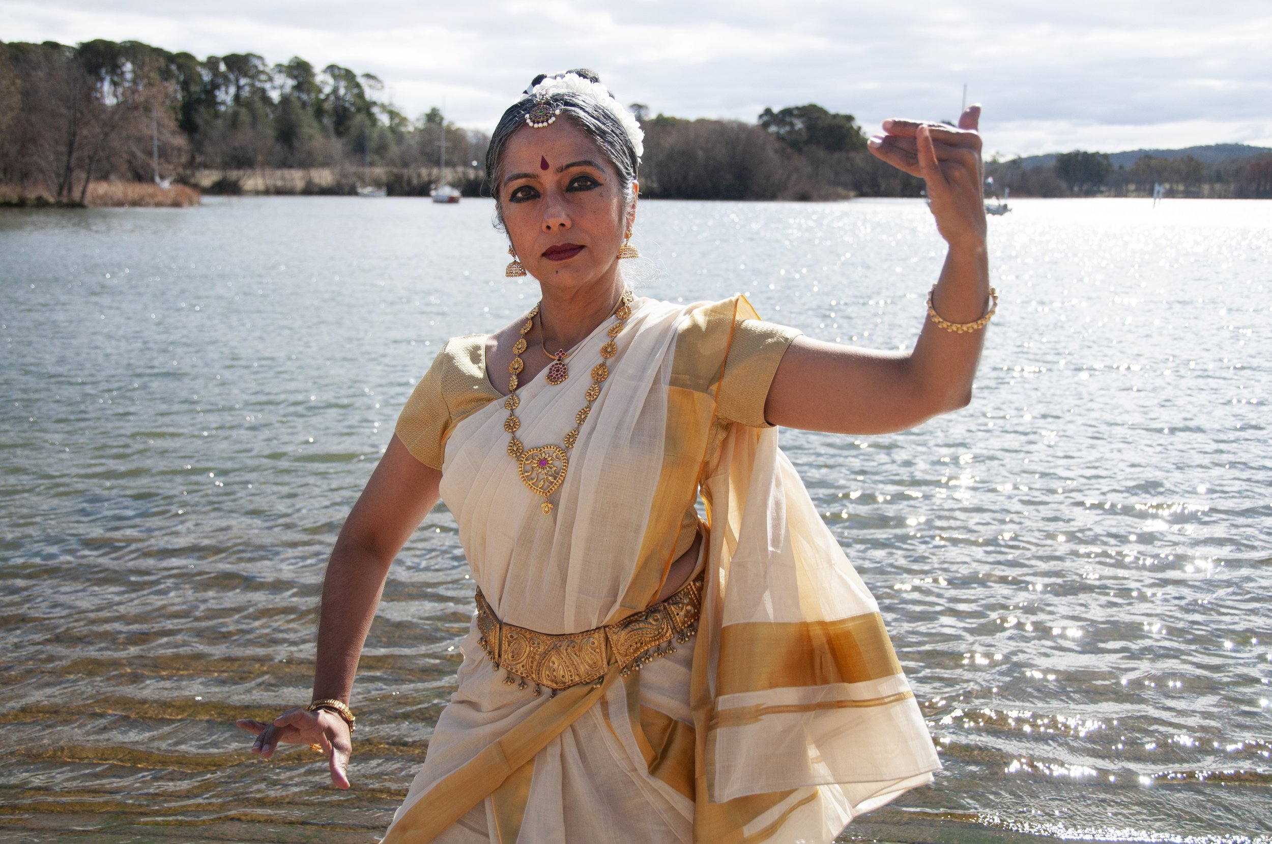 "Allowing" Earth/Body as the source of intelligence