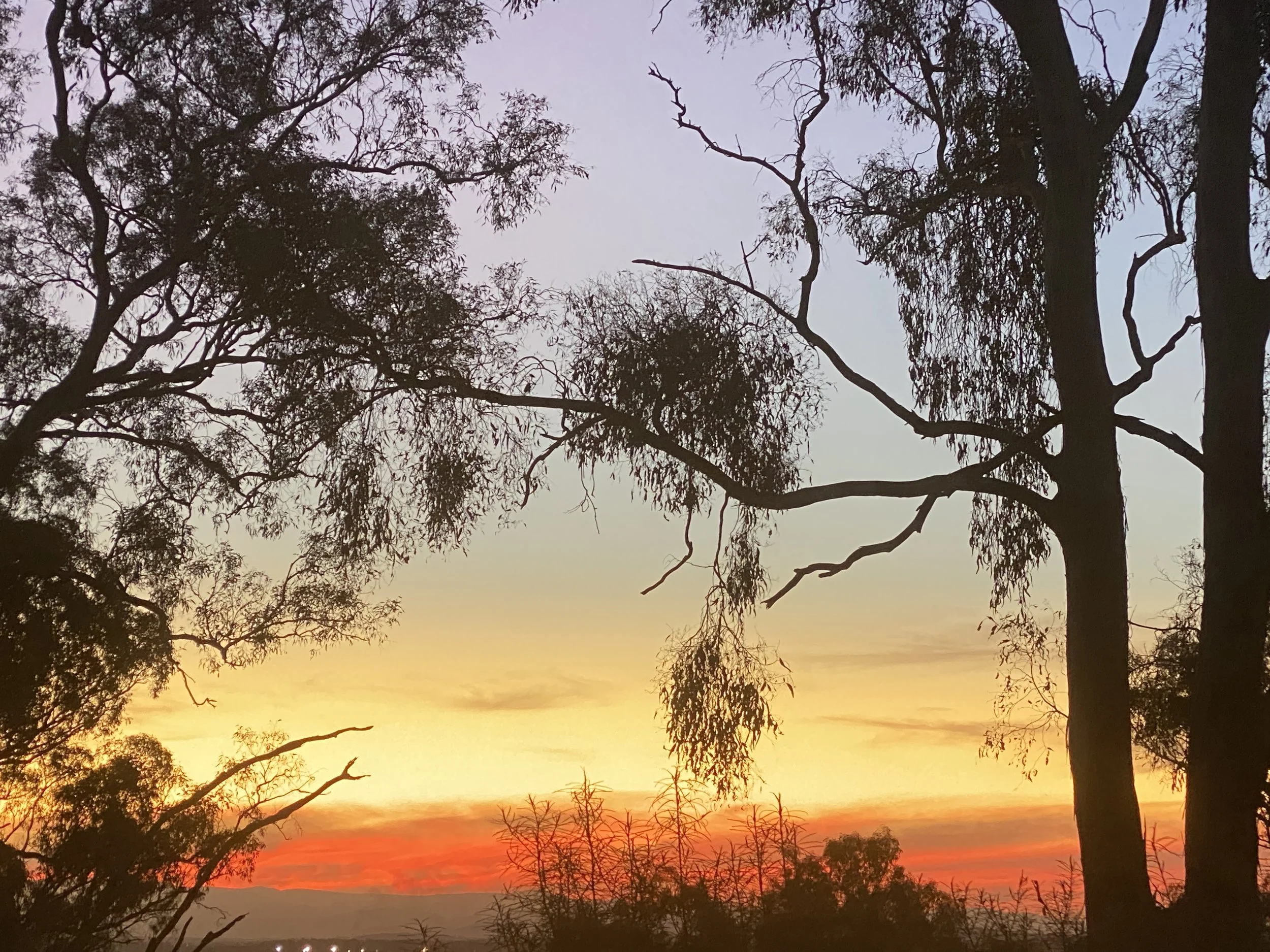 Friendship and alliance in a plural world