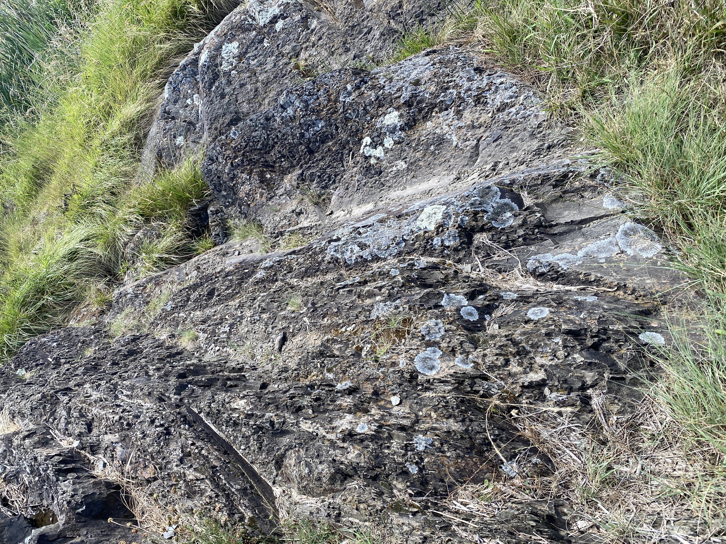 Primordial Time and liberation from the noose of Time loops