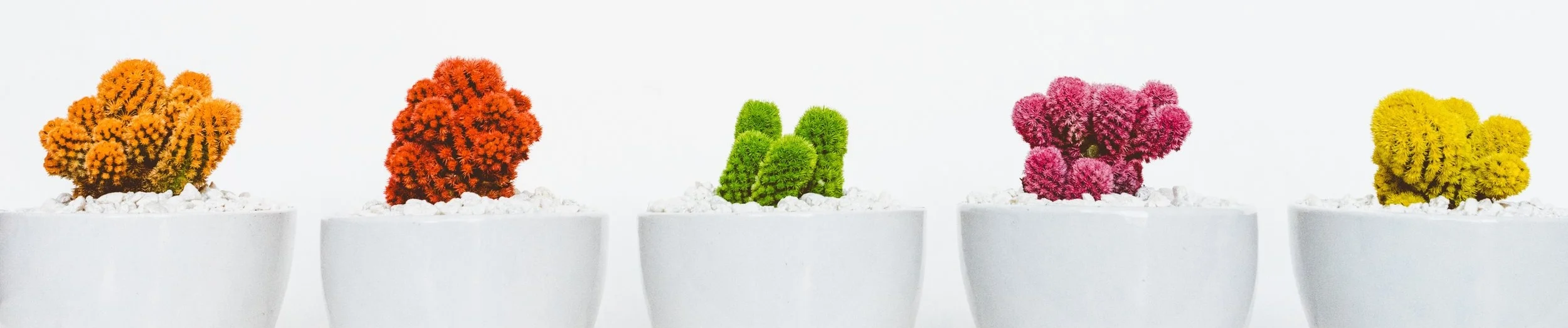 art-artistic-beautiful-311458 (1).jpg