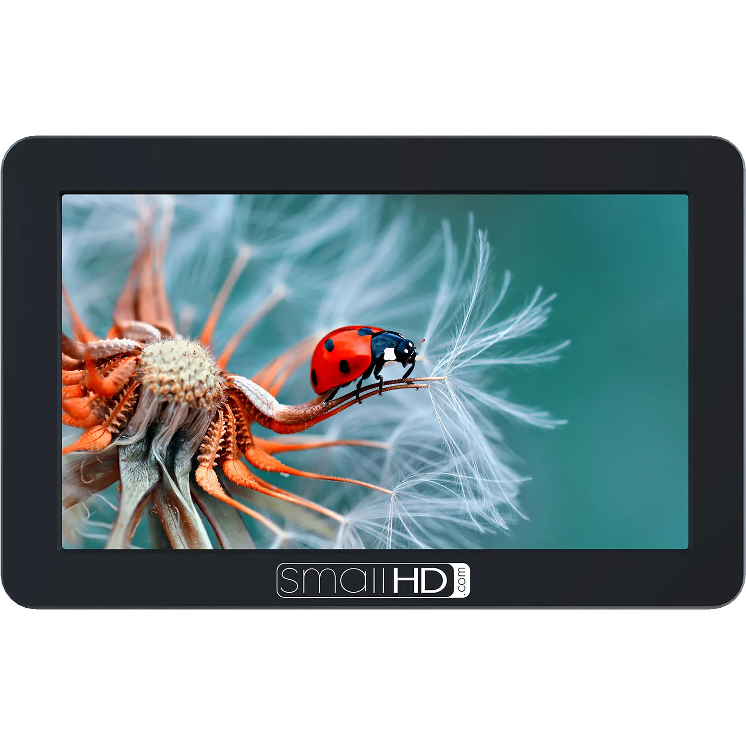 smallhd_mon_focus_5_touch_screen_1336174.jpg