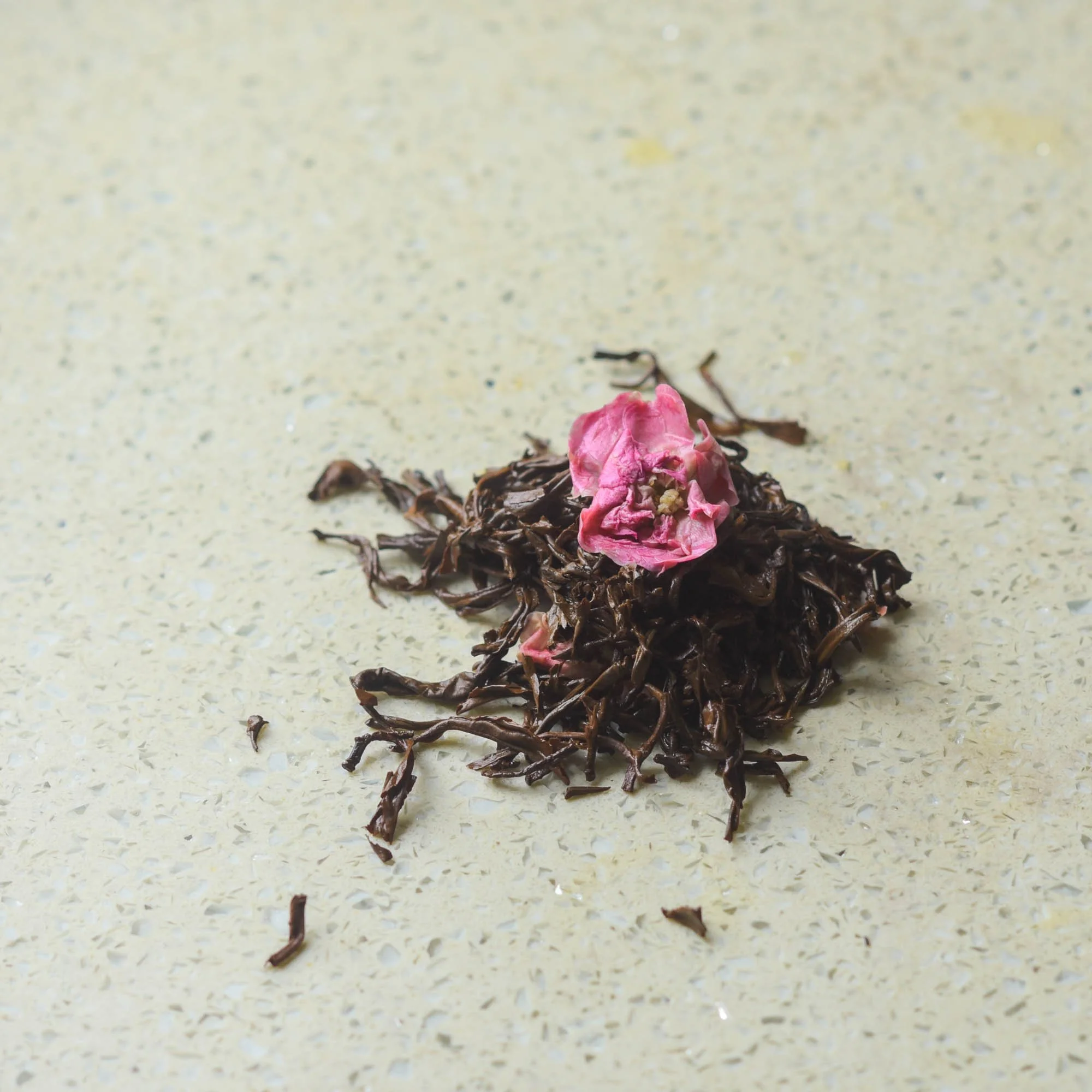 Rose Black Dragon Balls-wet leaves.jpg