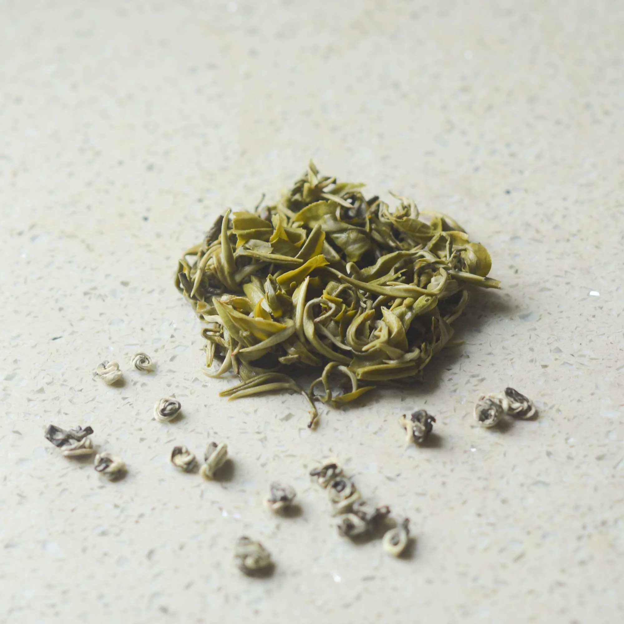 Jade Snail Green-wet.jpg