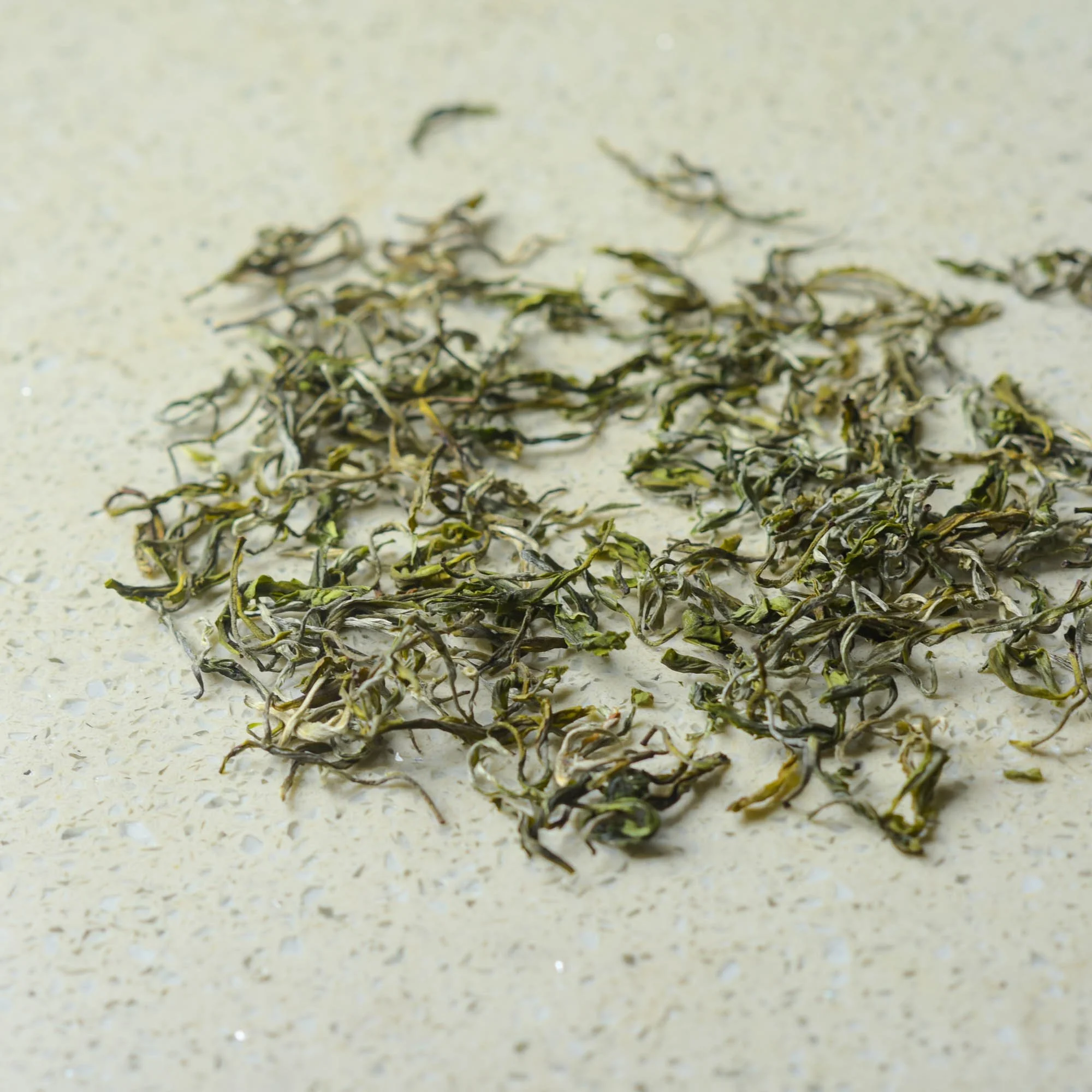 1st flush Spring Green-leaves-2.jpg