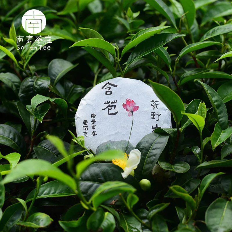 Wild Arbor buds Green Puerh Cake