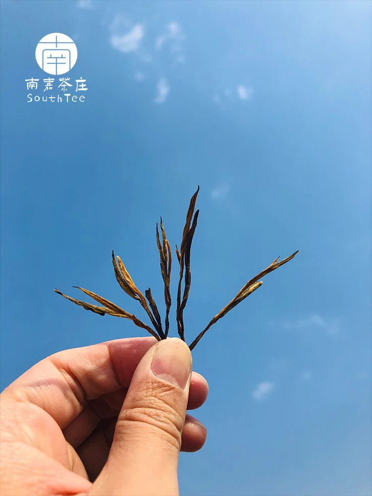 looks like Pine needle Black