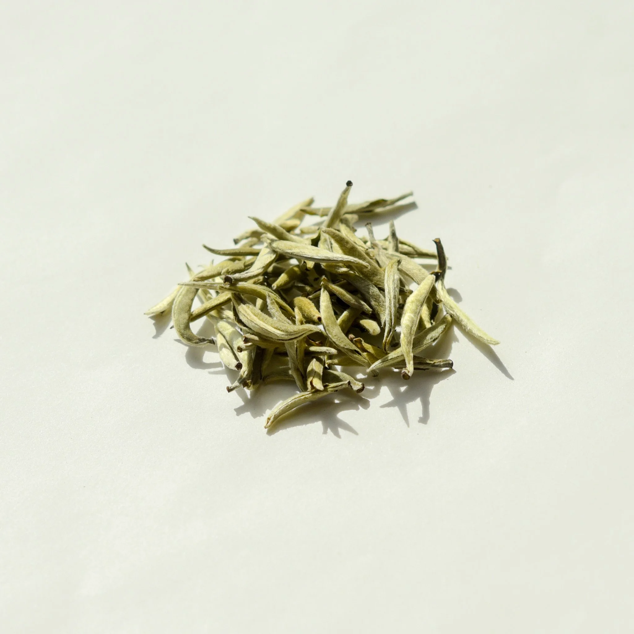 Fatty Silver needle.jpg