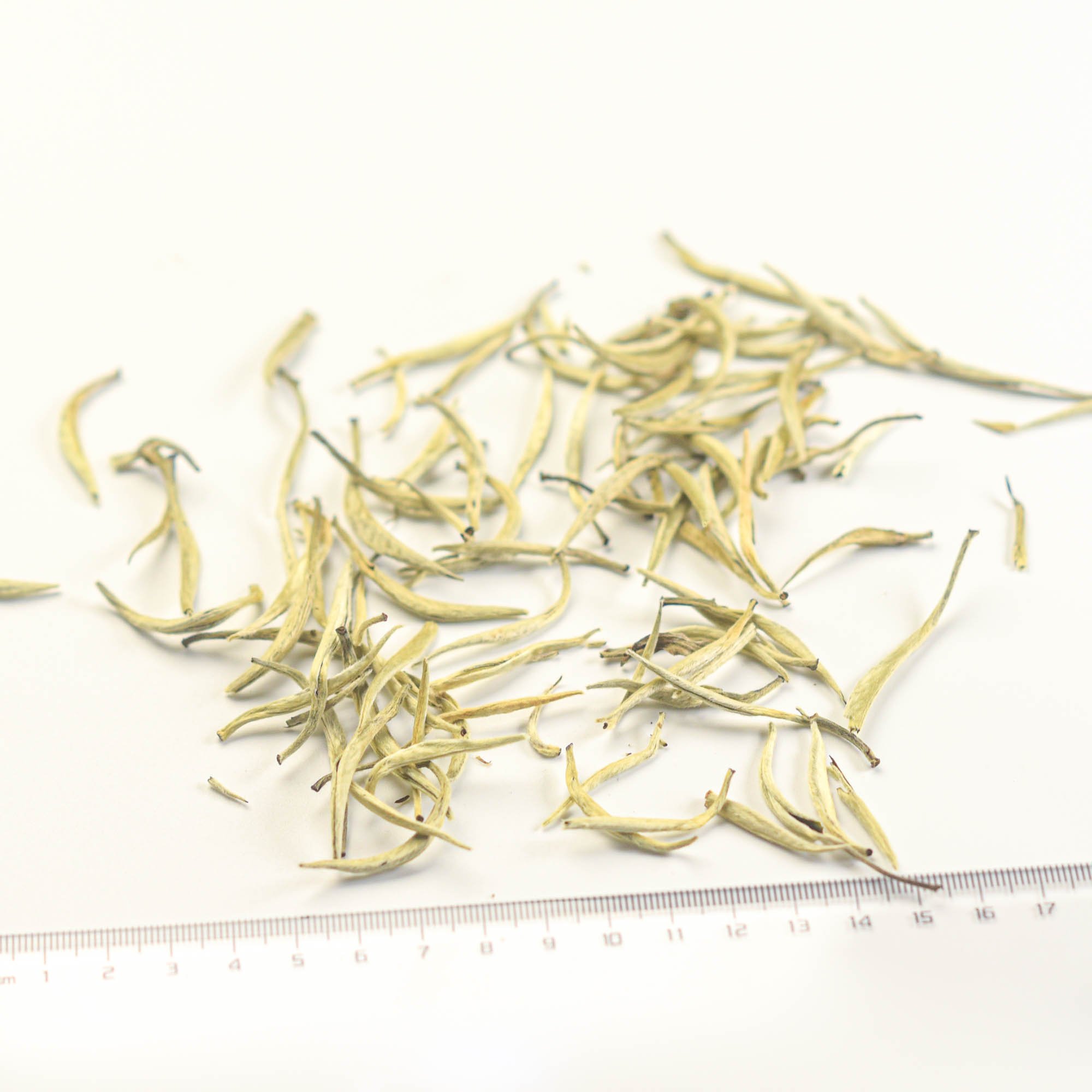 #02 3 Silver Needle Whites collection