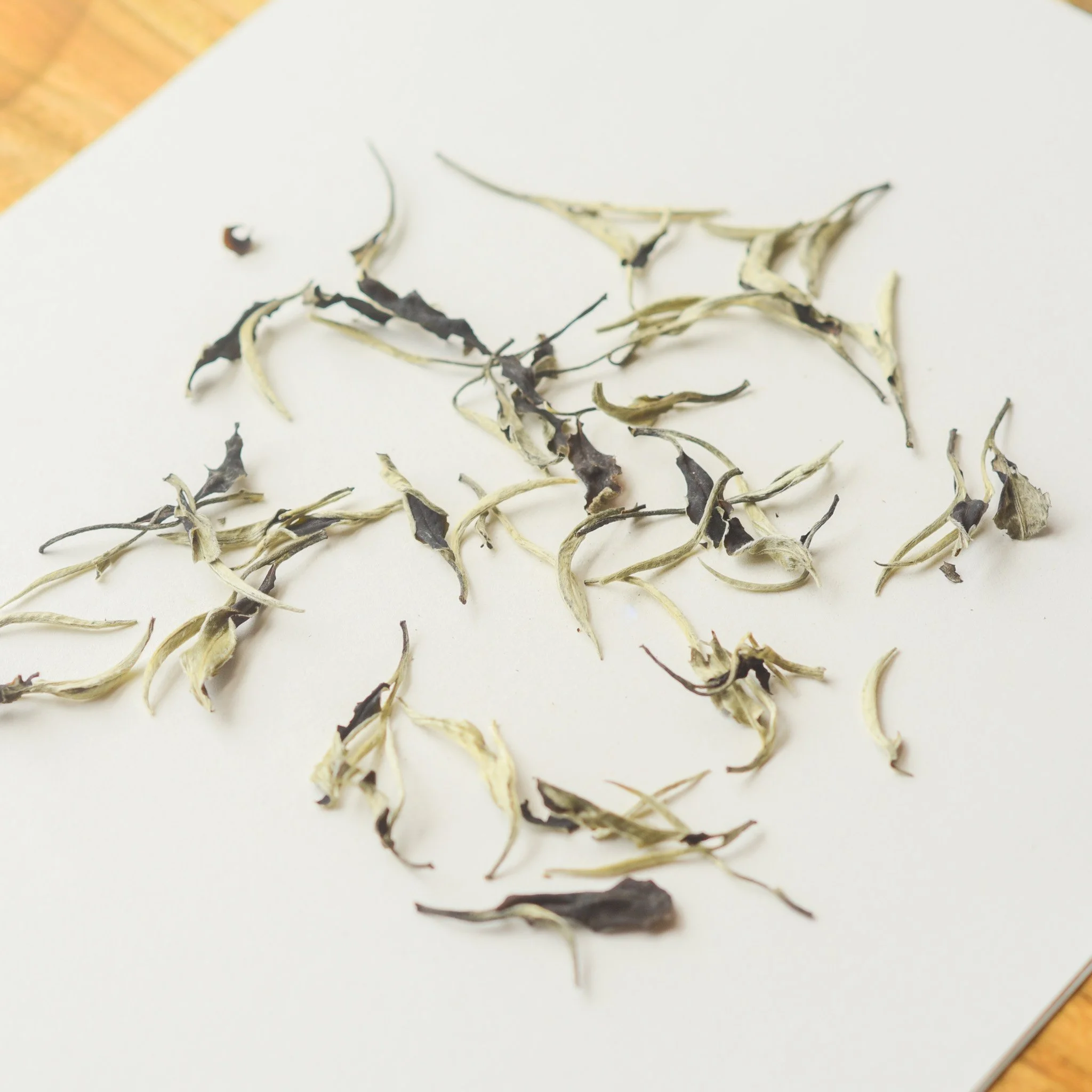 #01 Panda Moonlight White