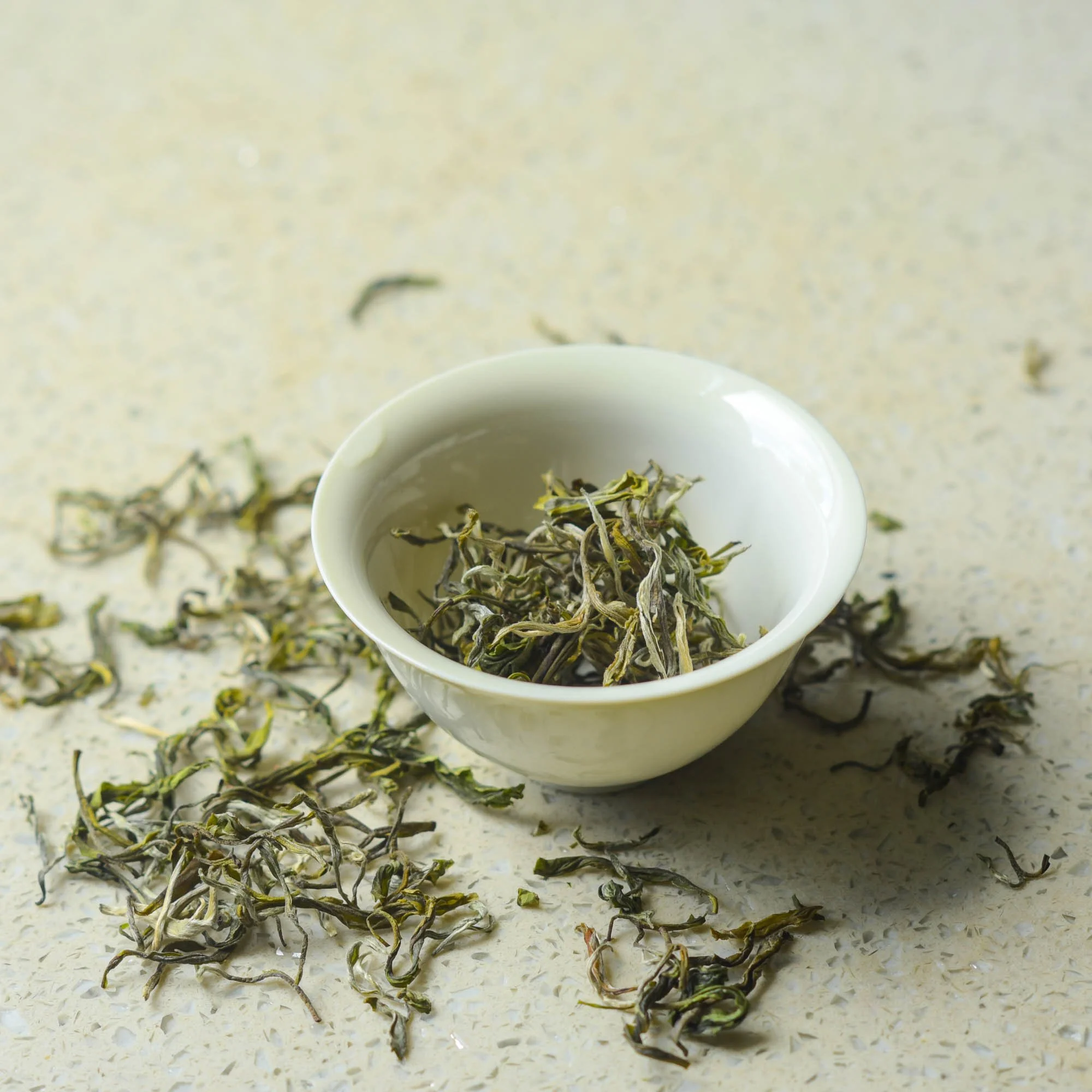 1st flush Spring Green-leaves.jpg