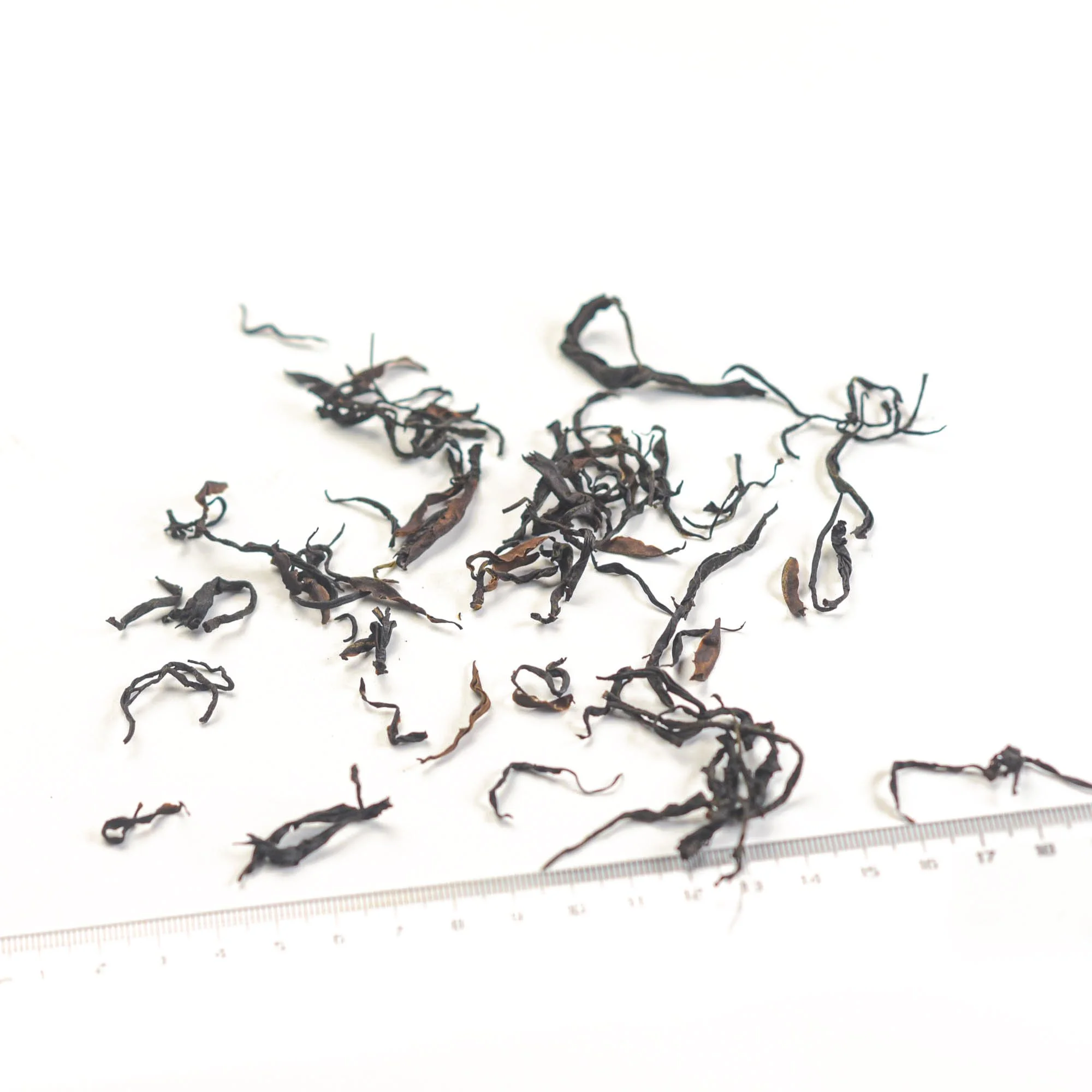 Wild-Honey-Black.jpg