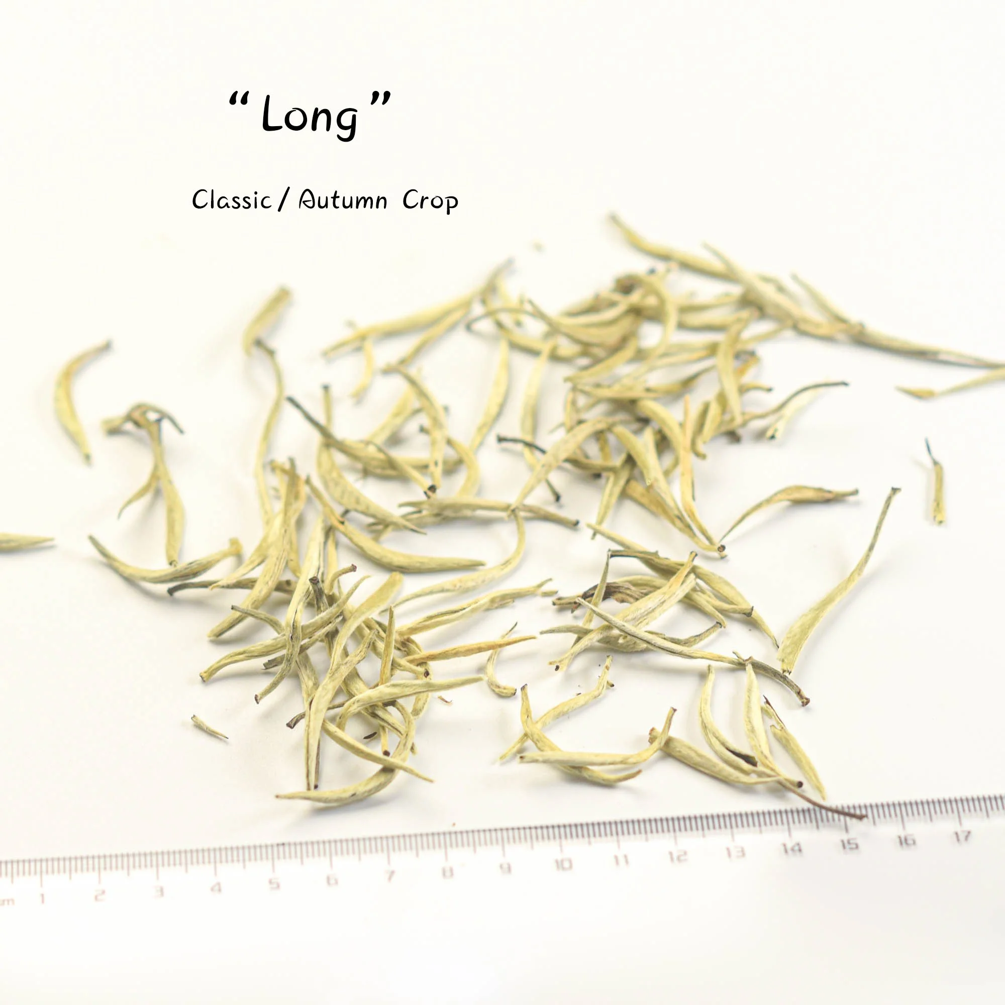LongWhite-Silver-needle.jpg
