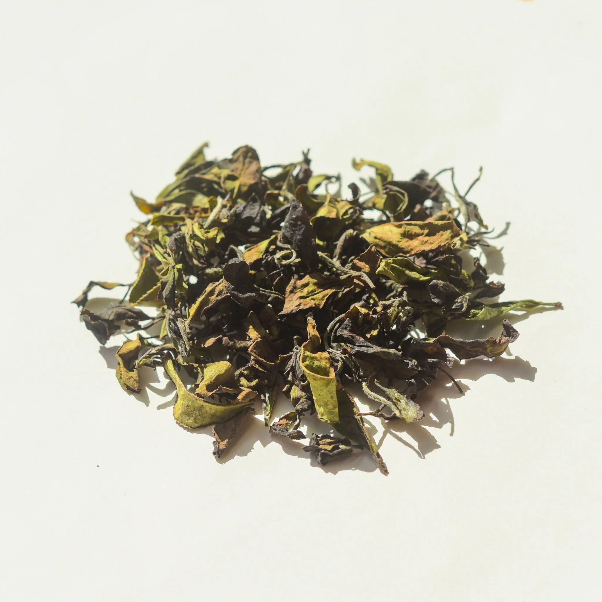 milky white-leaves.jpg