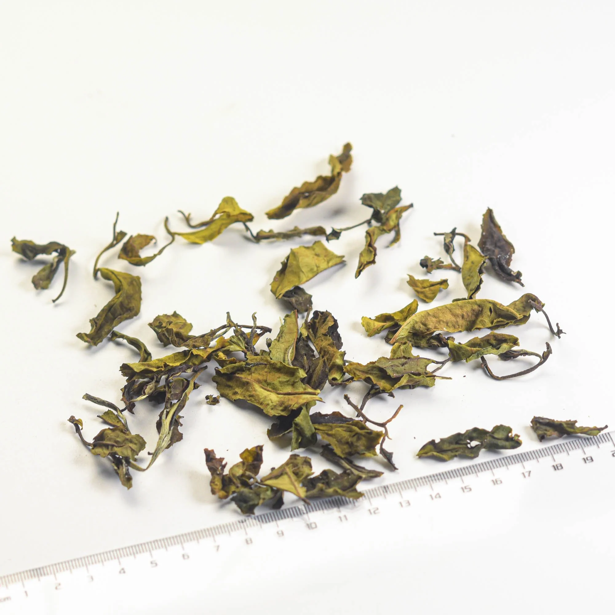 #07 Yunnan Breakfast White tea