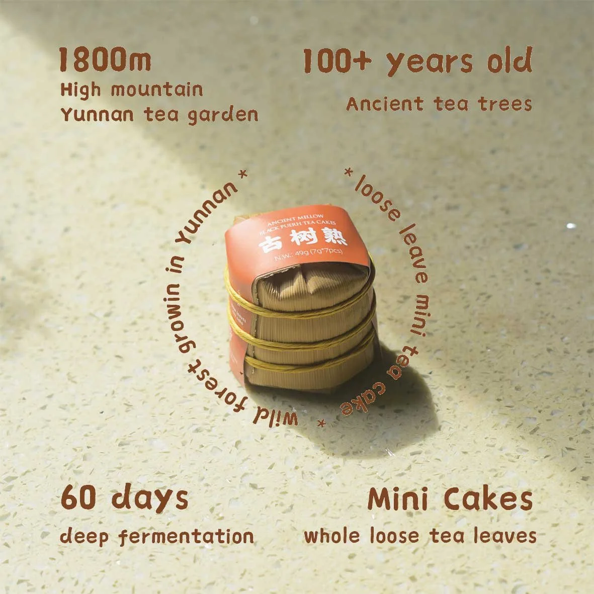 Mini-Cake-Black-Puerh.jpg