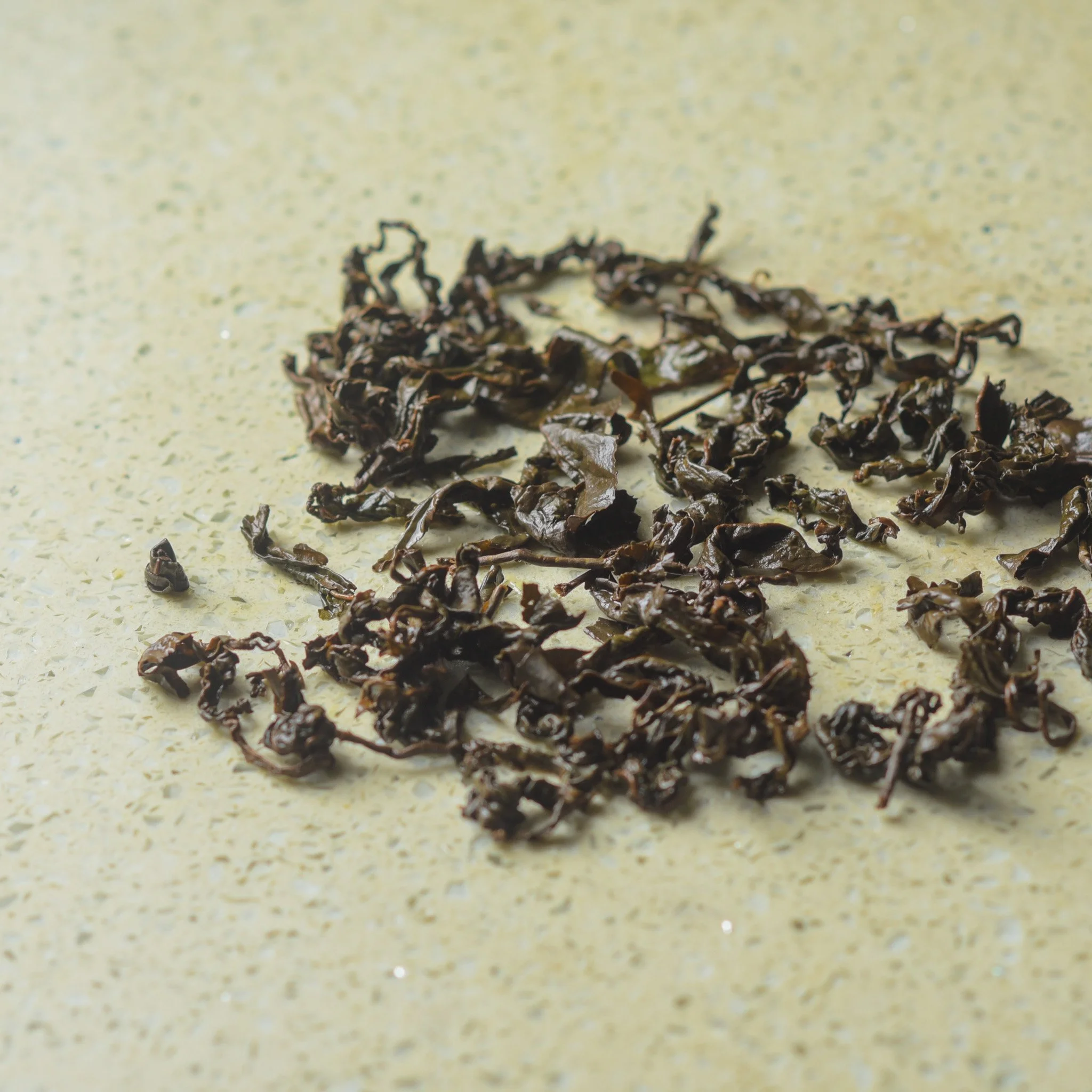 GABA oolong-wet leaves.jpg