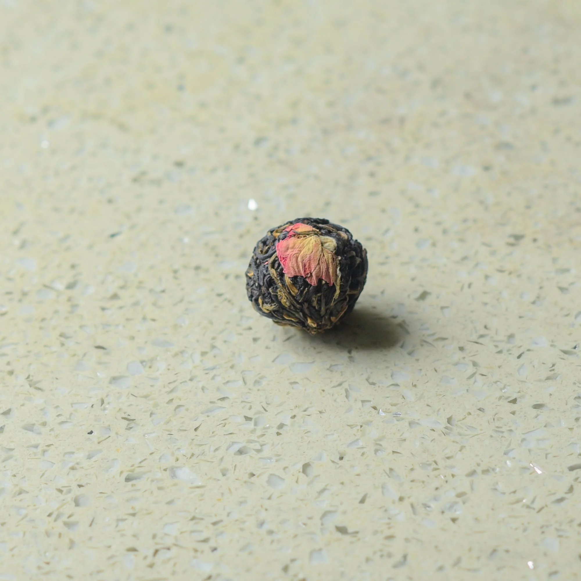 Rose Black Dragon Balls-dry leaves.jpg
