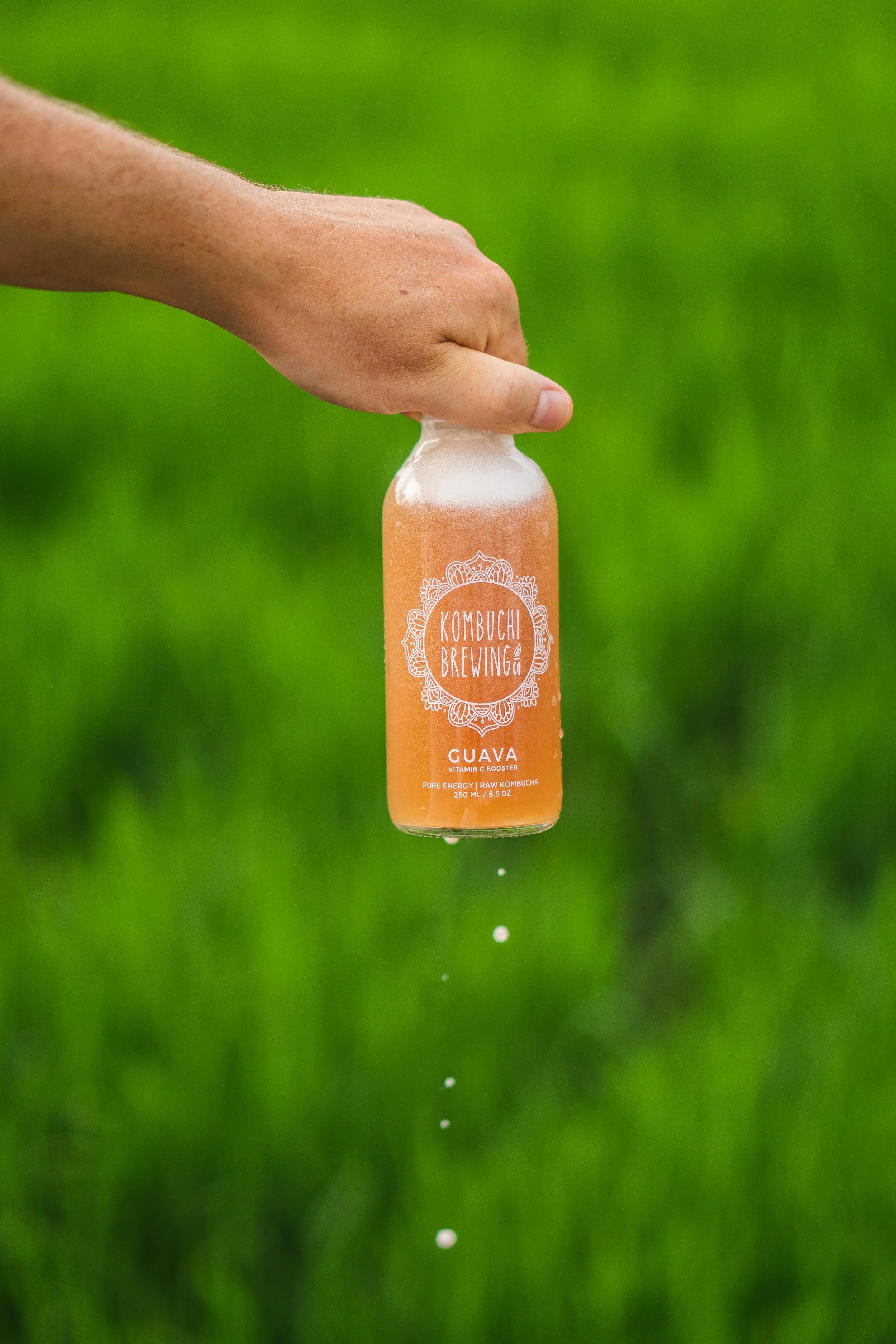Kombuchi Brewing Co-13.jpg