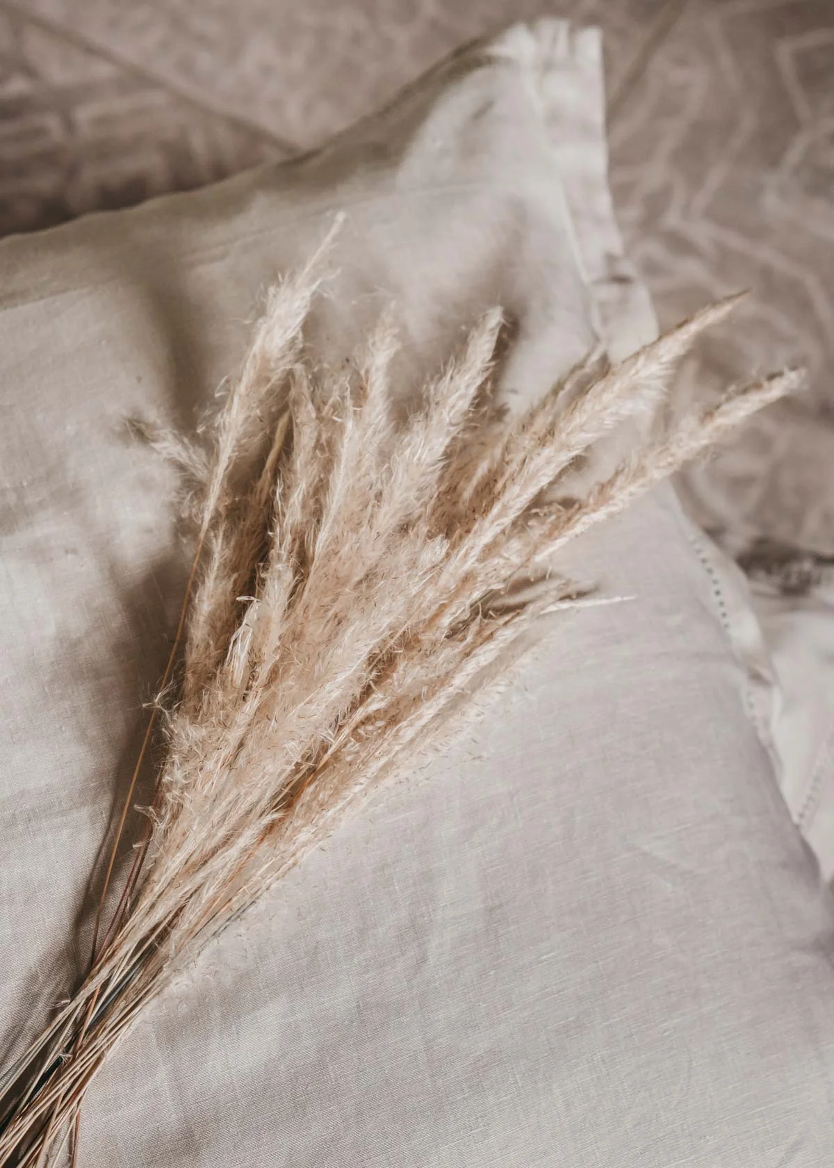 Keira-Mason-in-between-the-sheets-pampas-grass.jpg