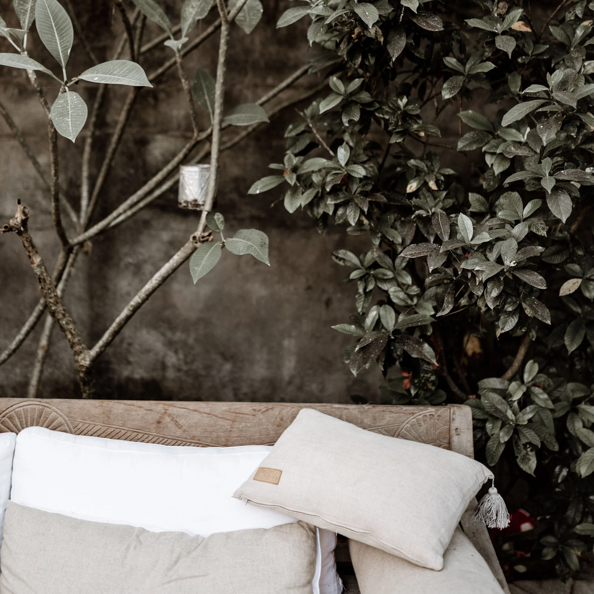 keira-mason-free-the-label-plants.jpg