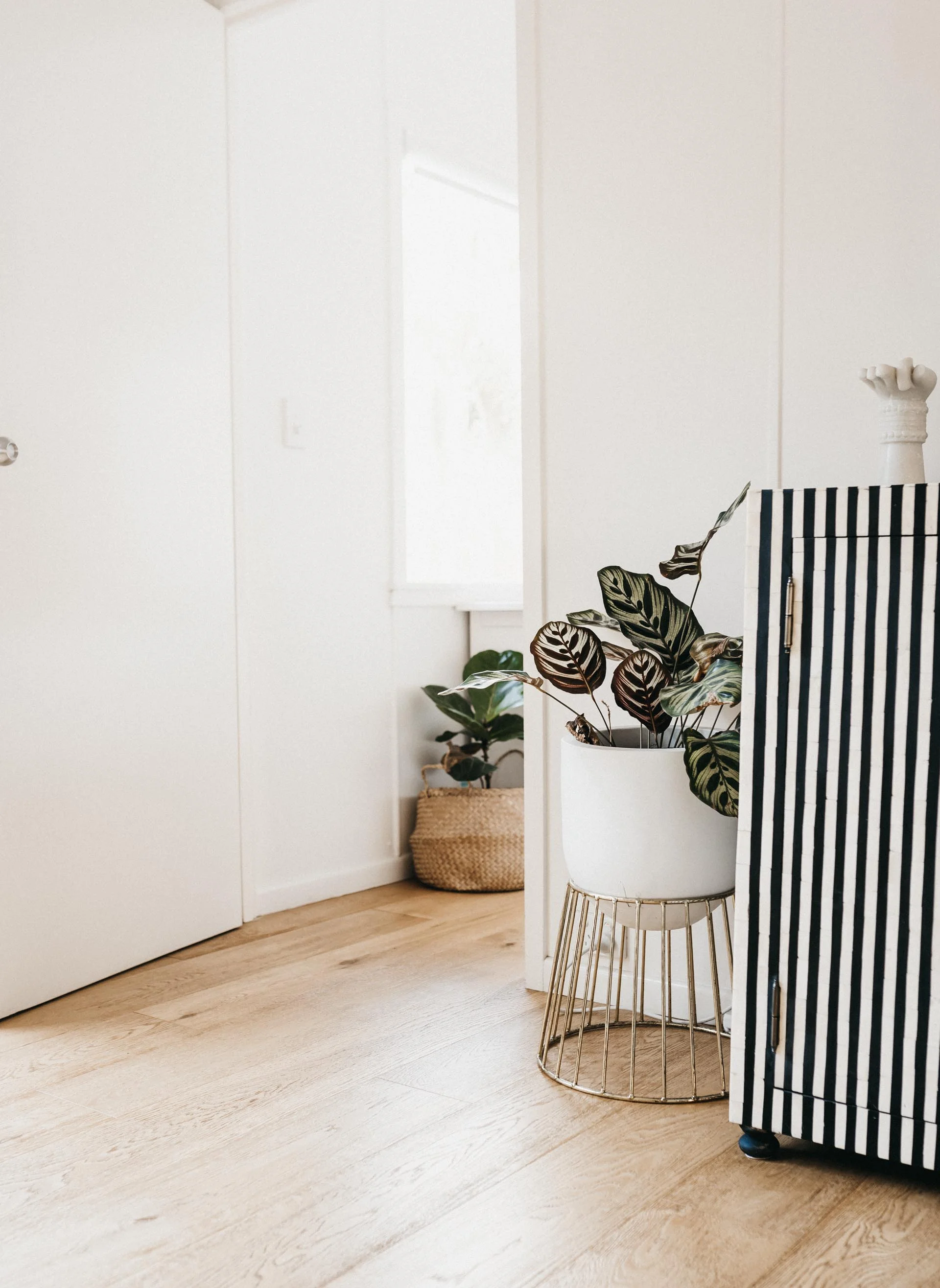 keira-mason-grounds-of-cabarita-loungeroom-plants.jpg