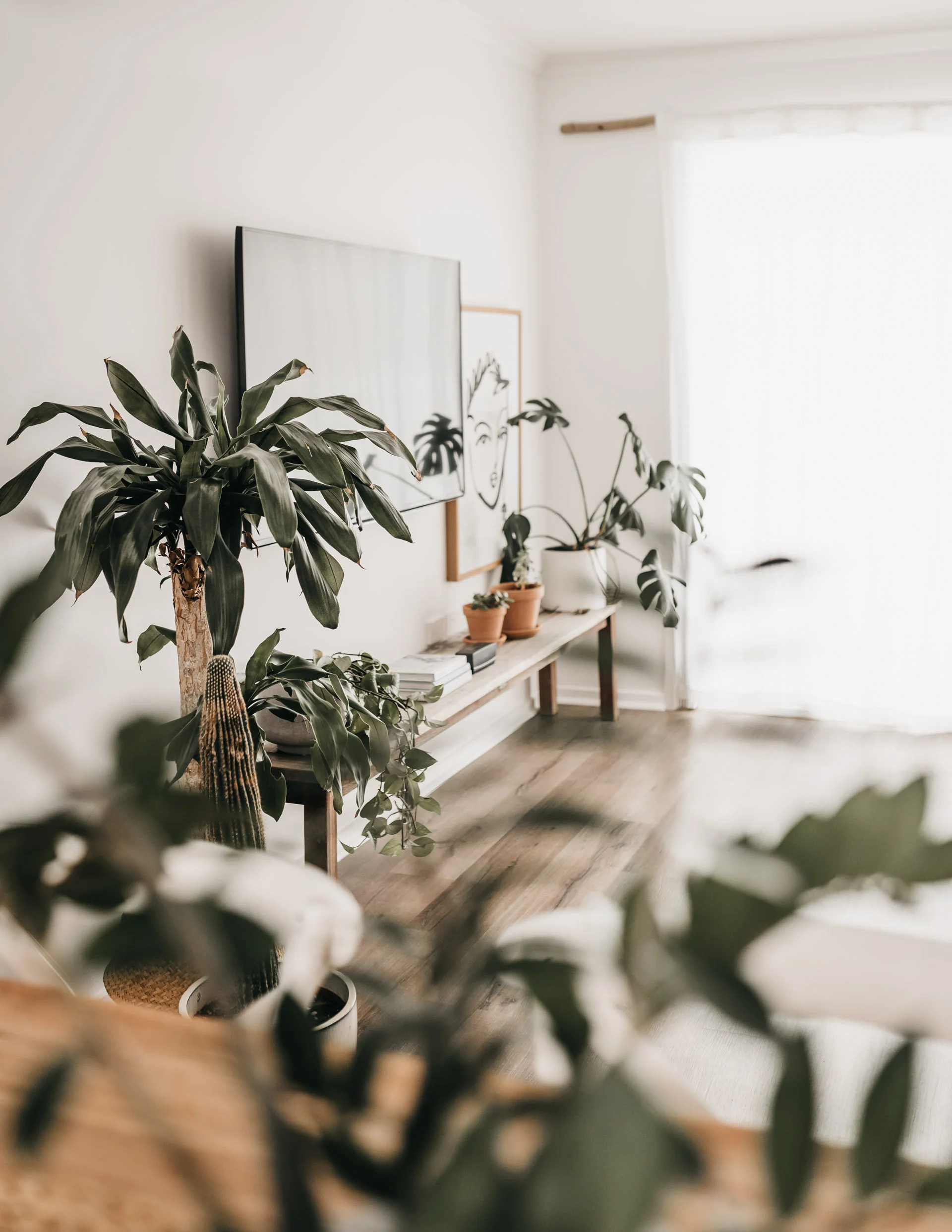 keira-mason-caba-cottage-plants-in-home.jpg