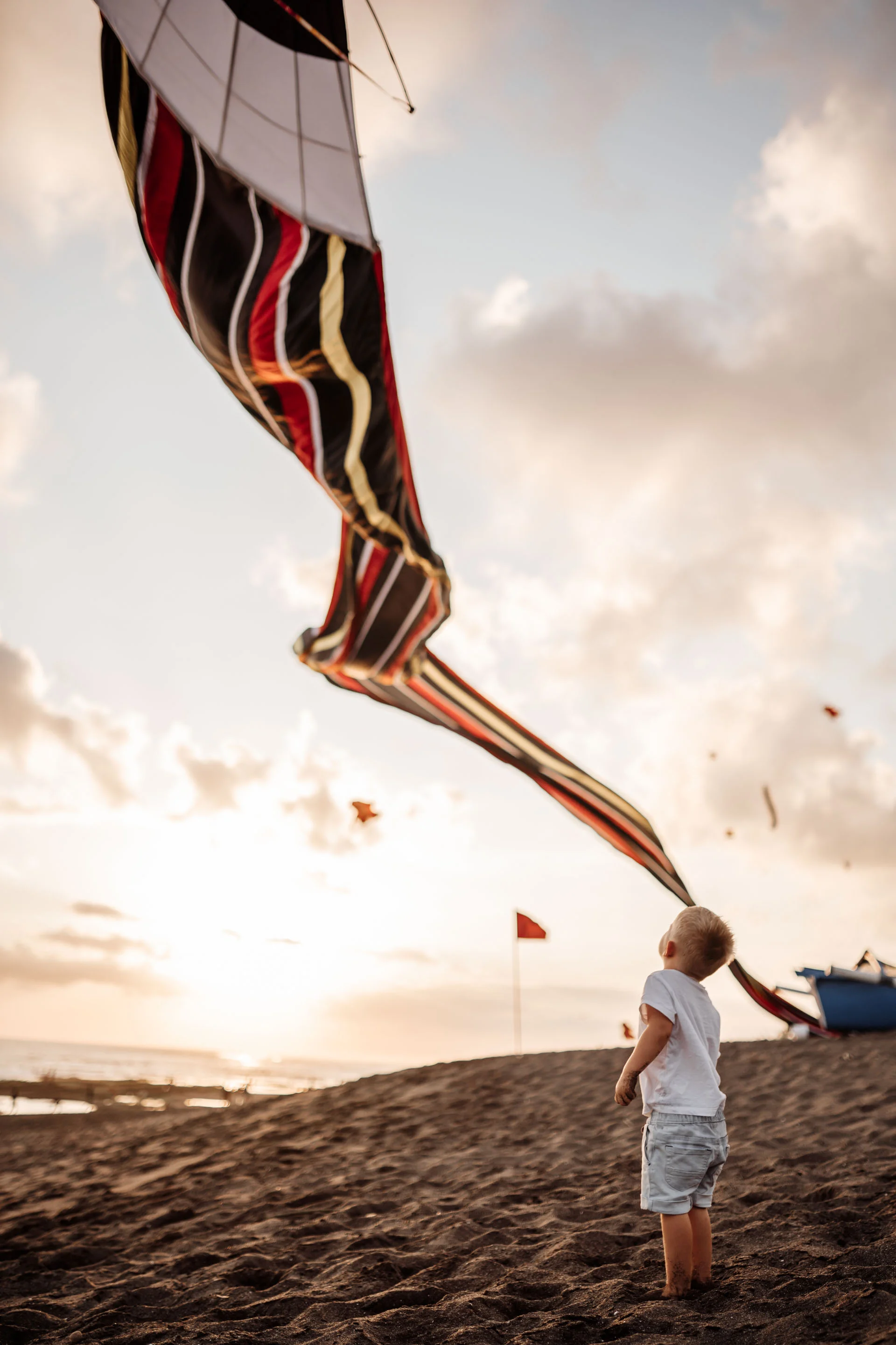 keira-mason-family-shoot-boy-and-kite.jpg