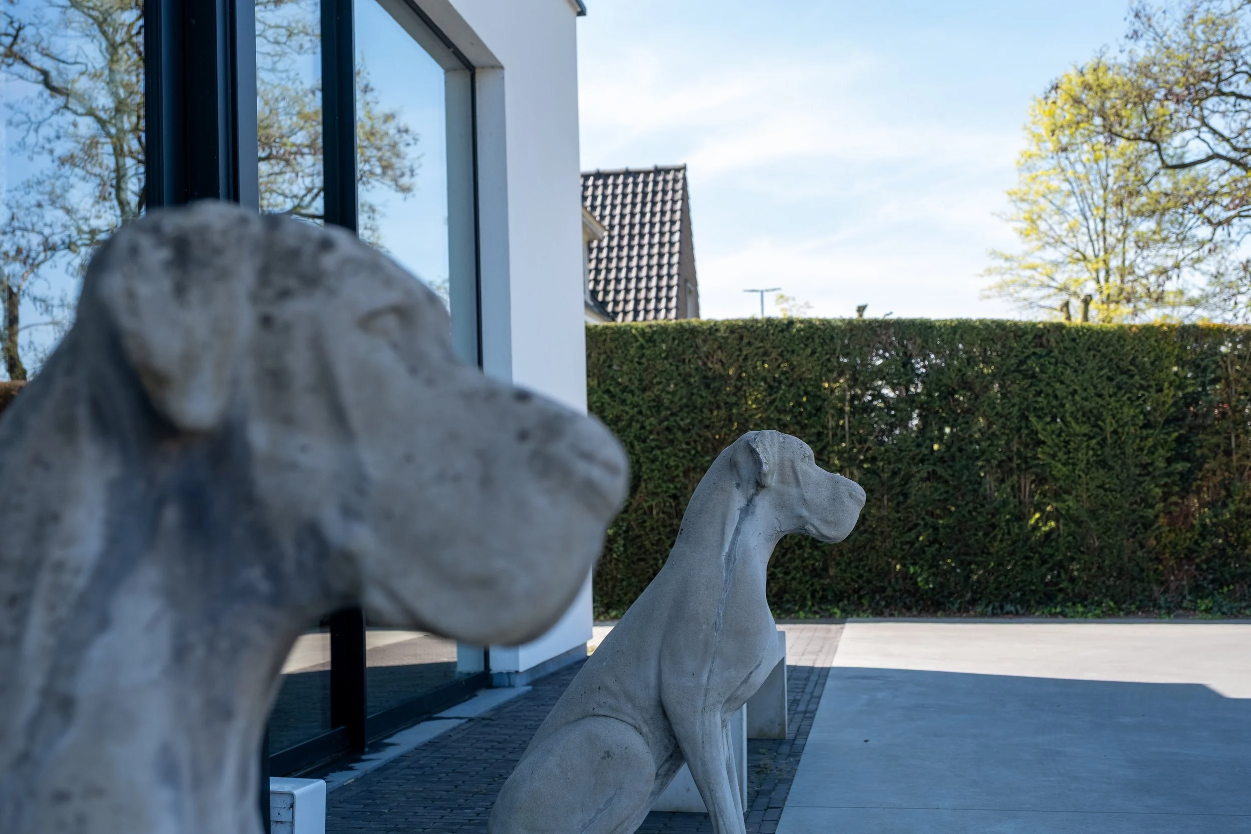 Arty Pictures-12.jpg