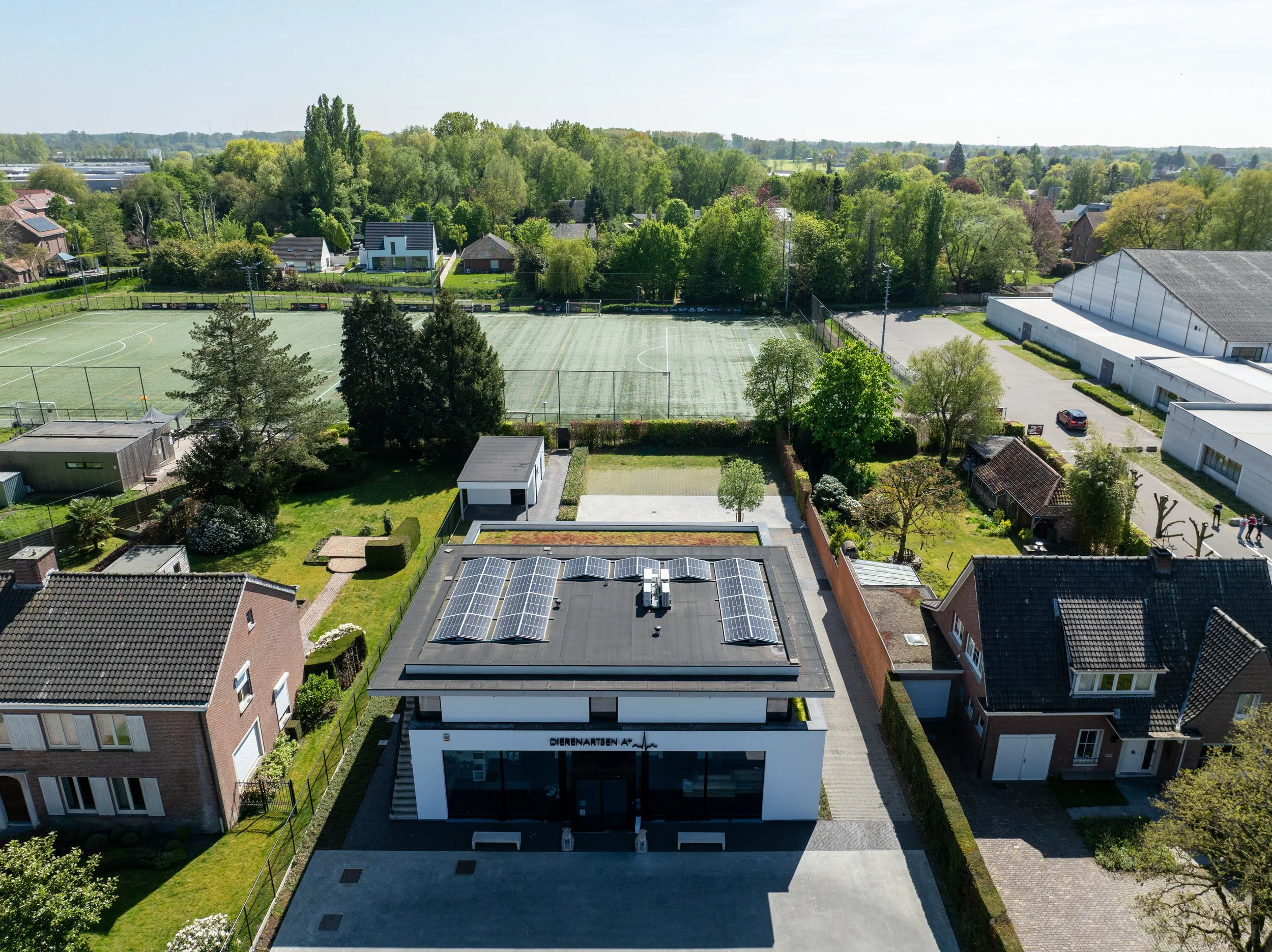 Arty Pictures-22.jpg