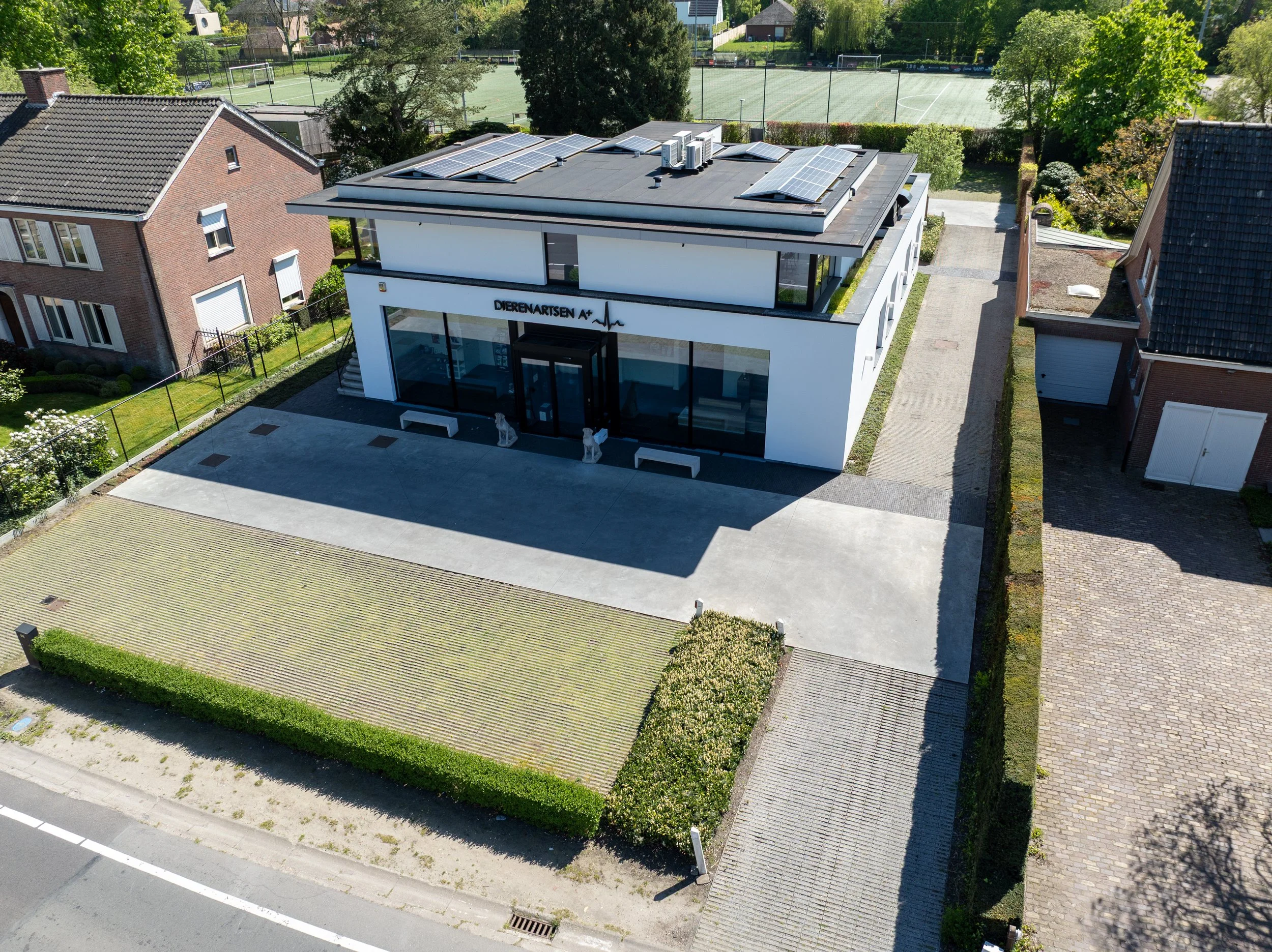 Arty Pictures-27.jpg