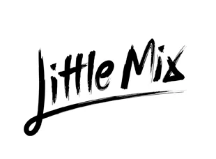 Little Mix Branding and Packaging Design