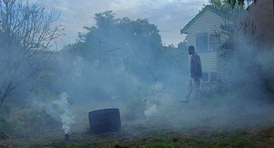 All these creatures 1.jpg