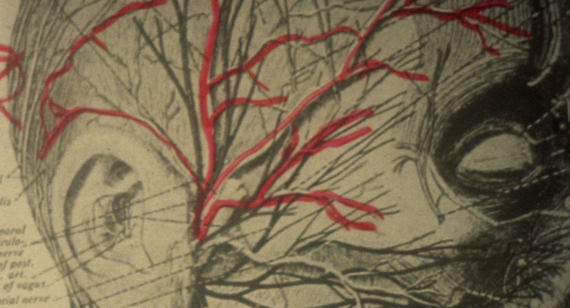 DSFMC_WORK_All These Creatures_Eleanora Steiner_Image10 (1).jpg