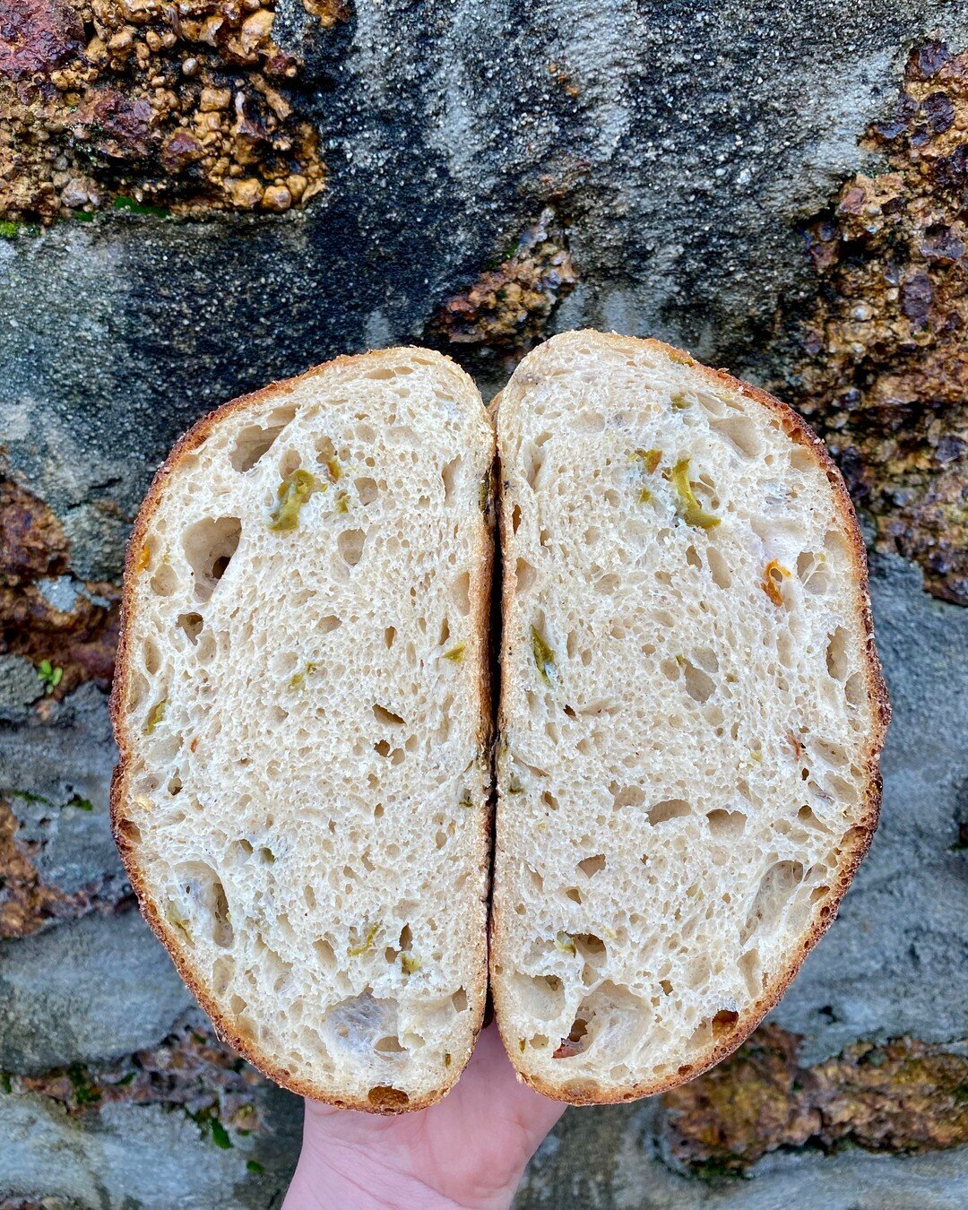 Hey there jalape&ntilde;o, it&rsquo;s been a while! 🌶😍​​​​​​​​
​​​​​​​​
​​​​​​​​
​​​​​​​​
#betterbread #bredco #bredbread #albany #sustainable #artisanbread #lovacore #sourdough #realbread #flourwatersalt #localproduce #amazingalbany #greatsouthern