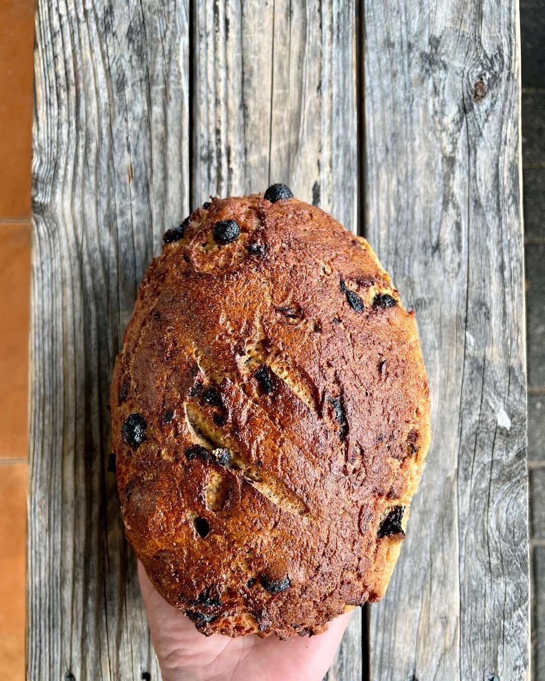 TODAY ONLY!!​​​​​​​​
​​​​​​​​
Gluten free fruit loaf! What a treat! 😍​​​​​​​​
​​​​​​​​
​​​​​​​​
​​​​​​​​
​​​​​​​​
#glutenfree #fruitloaf #betterbread #bredco #bredbread #albany #sustainable #artisanbread #lovacore #sourdough #realbread #flourwatersa