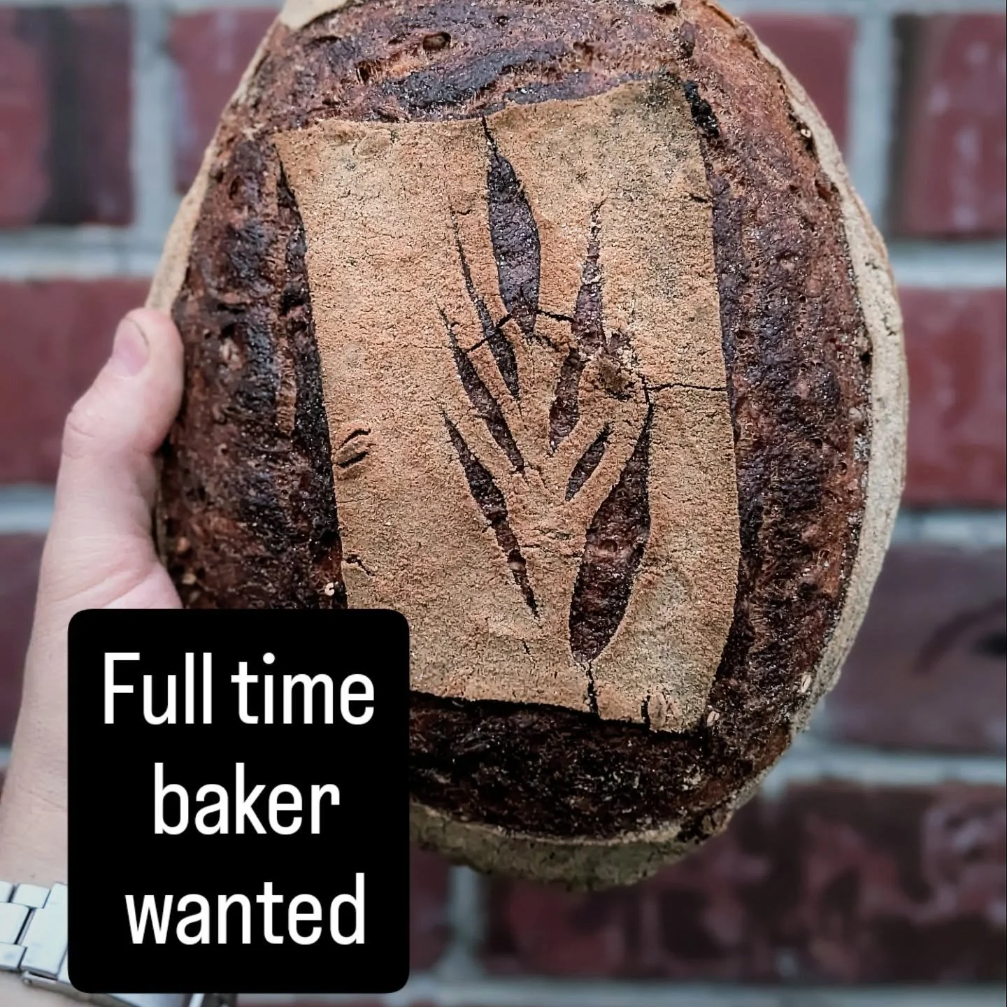 Hello beautiful people.
We have an open position for a full time baker
If you or someone you know wants to make beautiful bread, please get in touch. Either here or through baker@bredco.com.au ❤️