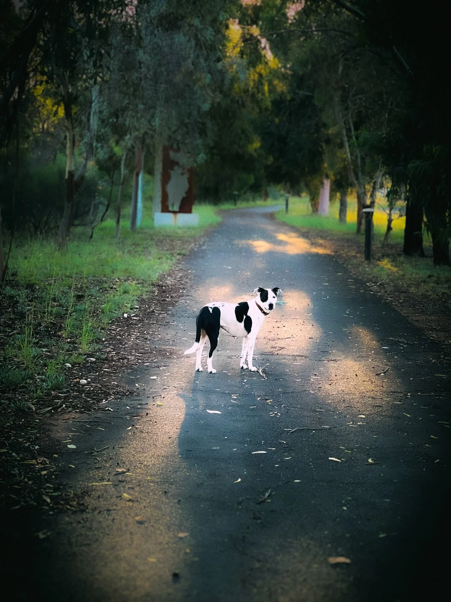 After a 6 day round trip to qld, my little love and I are finally reunited 🥰. With that, we are ready to share more beautiful aussie hand dug minerals with you all 🙌🏼. So this friday I will be releasing a collection of crystals that have been unea