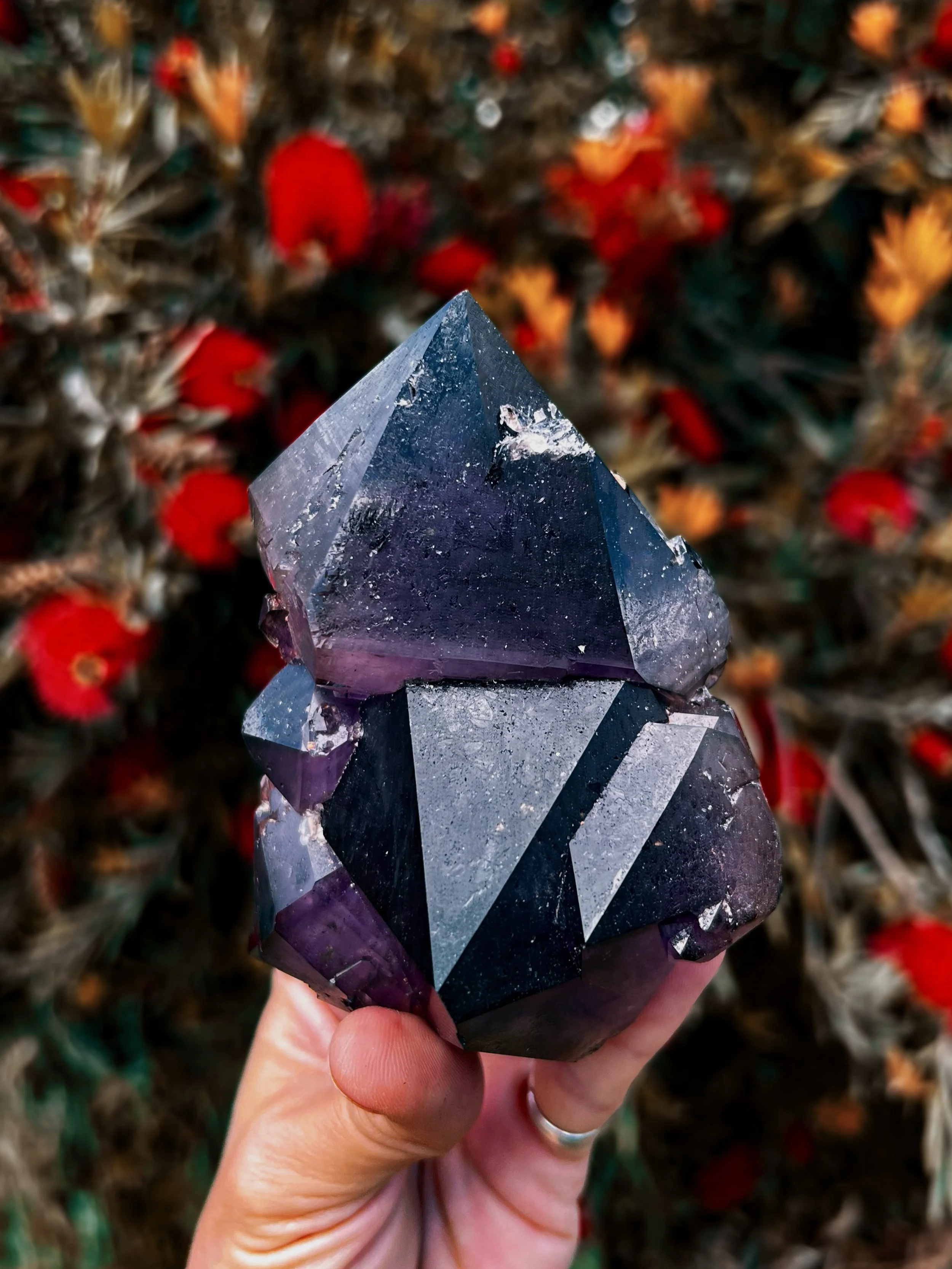 Hey my loves! I am putting together another collection of minerals to share with you all and I&rsquo;m just wondering which method of sharing you prefer&hellip;

Do we like via stories or live? ❤️
.
.
.
#crystals #crystalcollectors #amethyst #gems #c