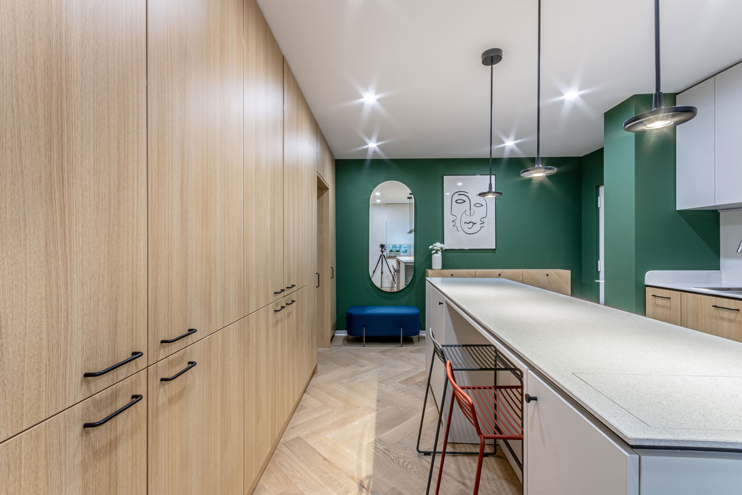 Craftr_Interior_Design_DC_Apartment_17_kitchen.jpg