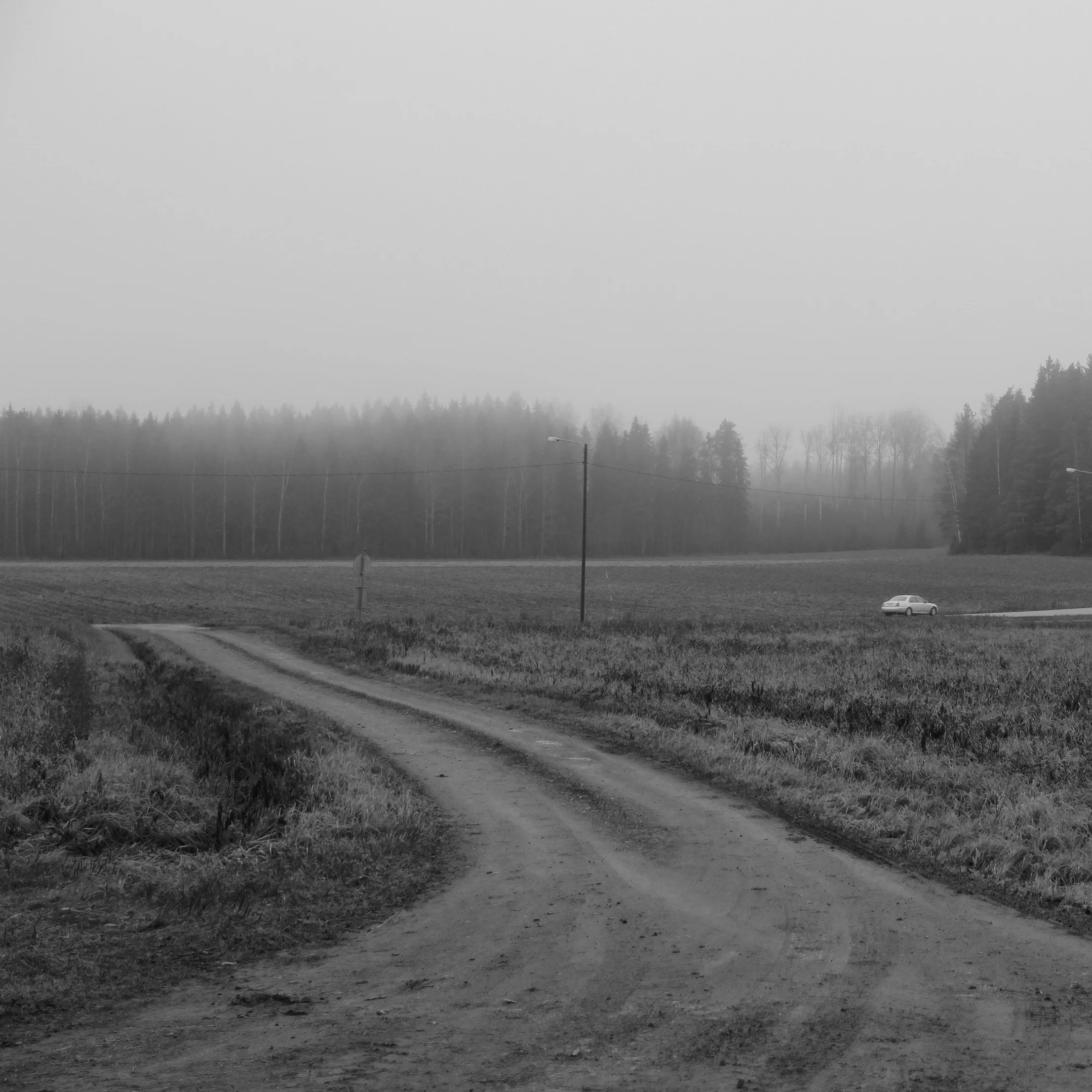 _MG_3131 (1).jpg