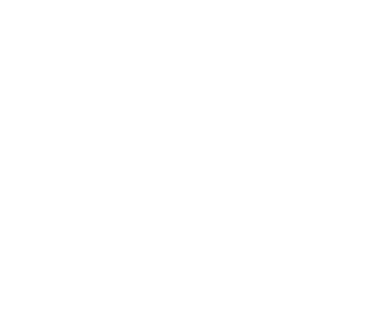 La Neverita Studio