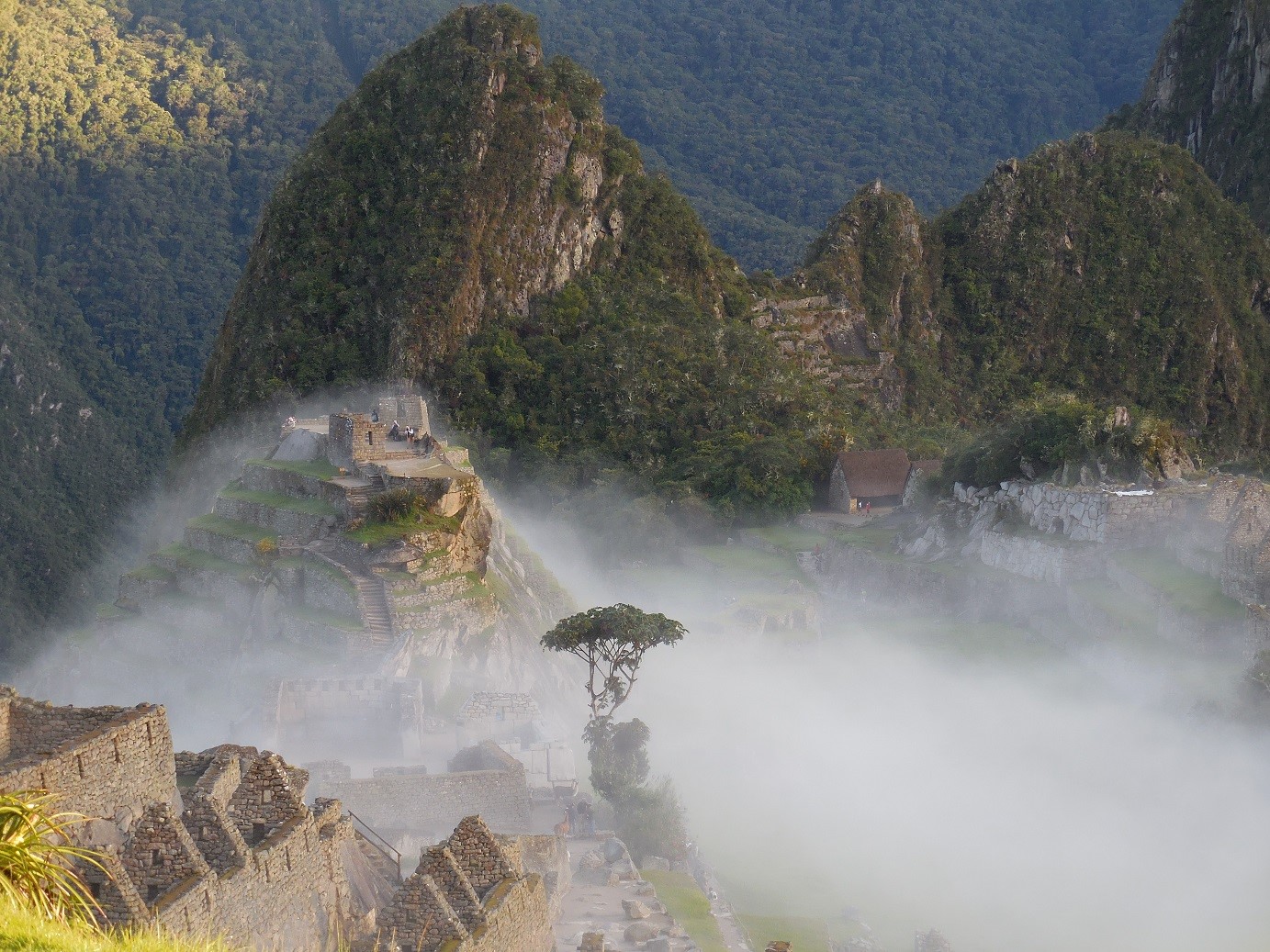 Machu Picchu