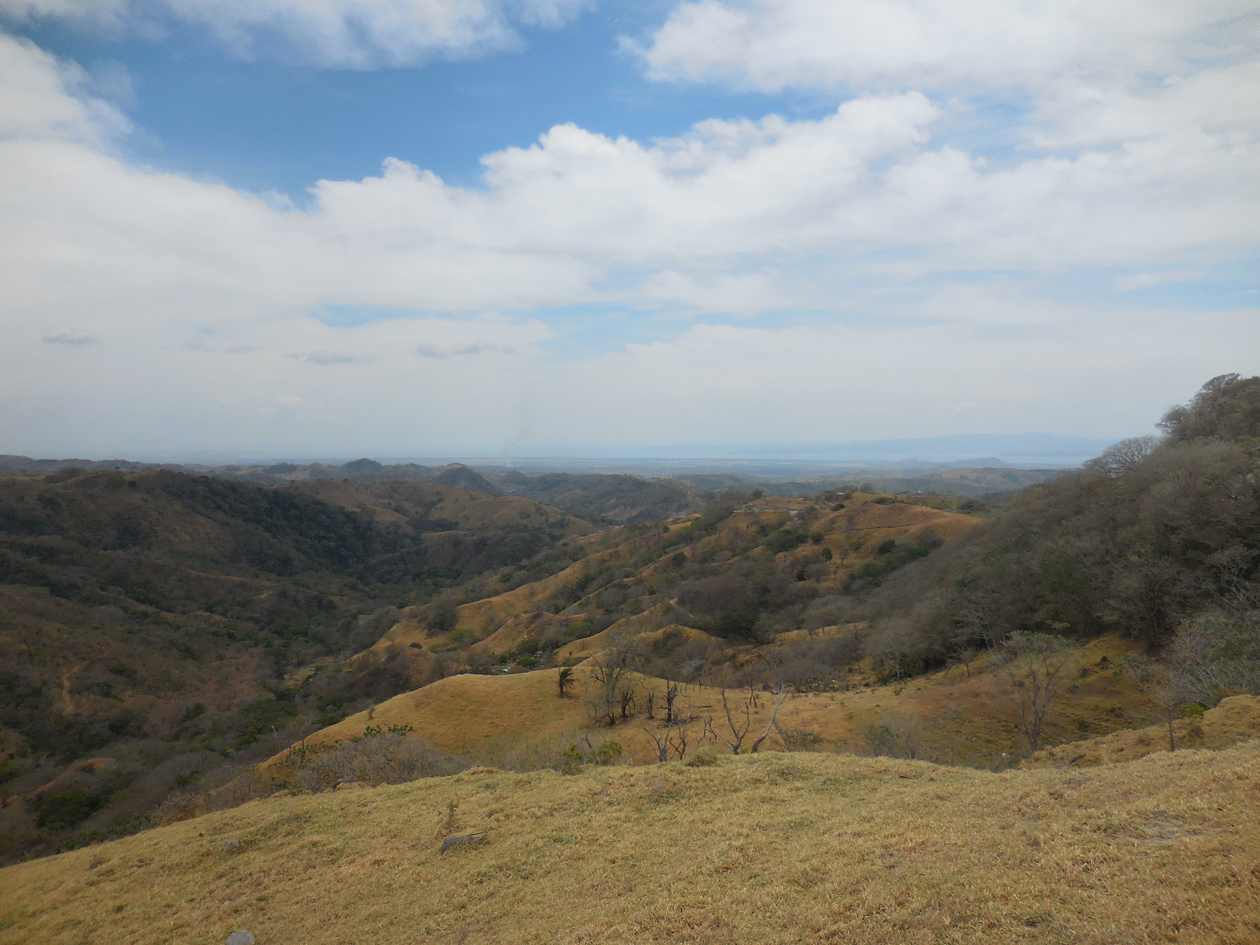 View from a mountain close to Monte Verde