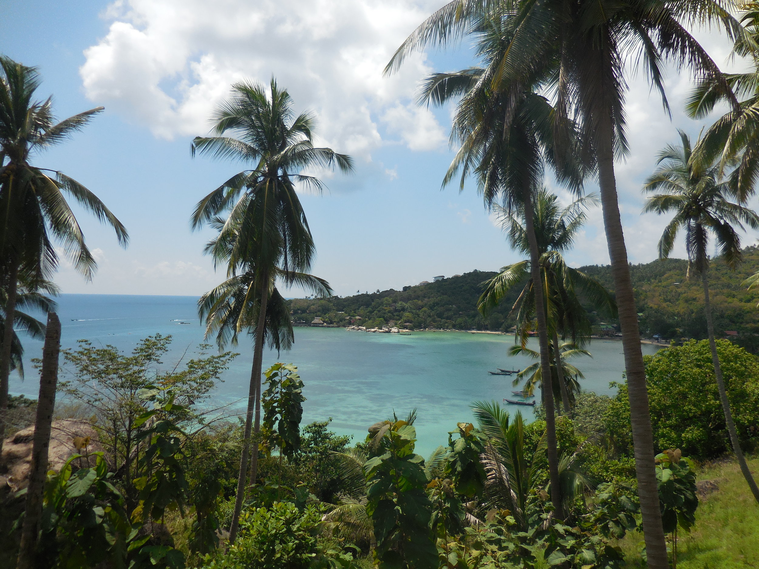 Ko Tao