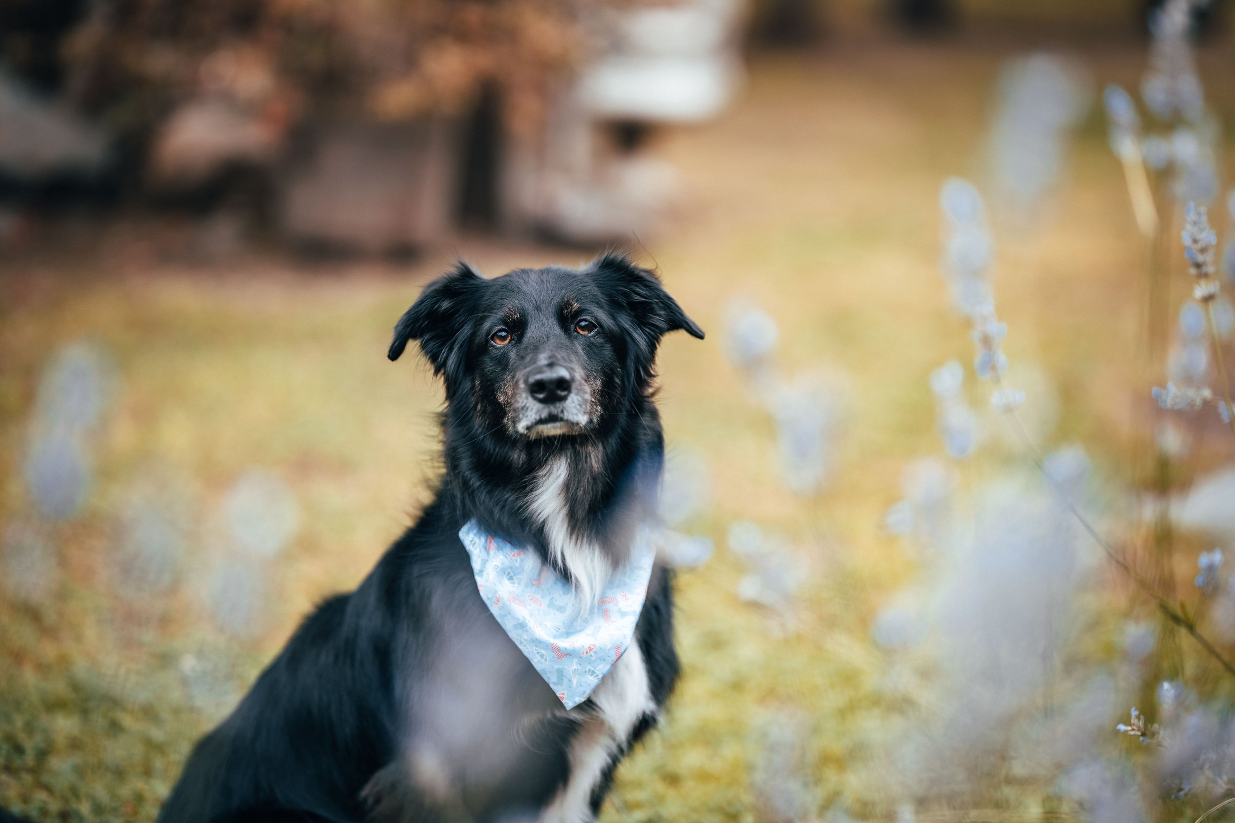 Gavin & Sophie -- Low Hall The Lakes-15.jpg