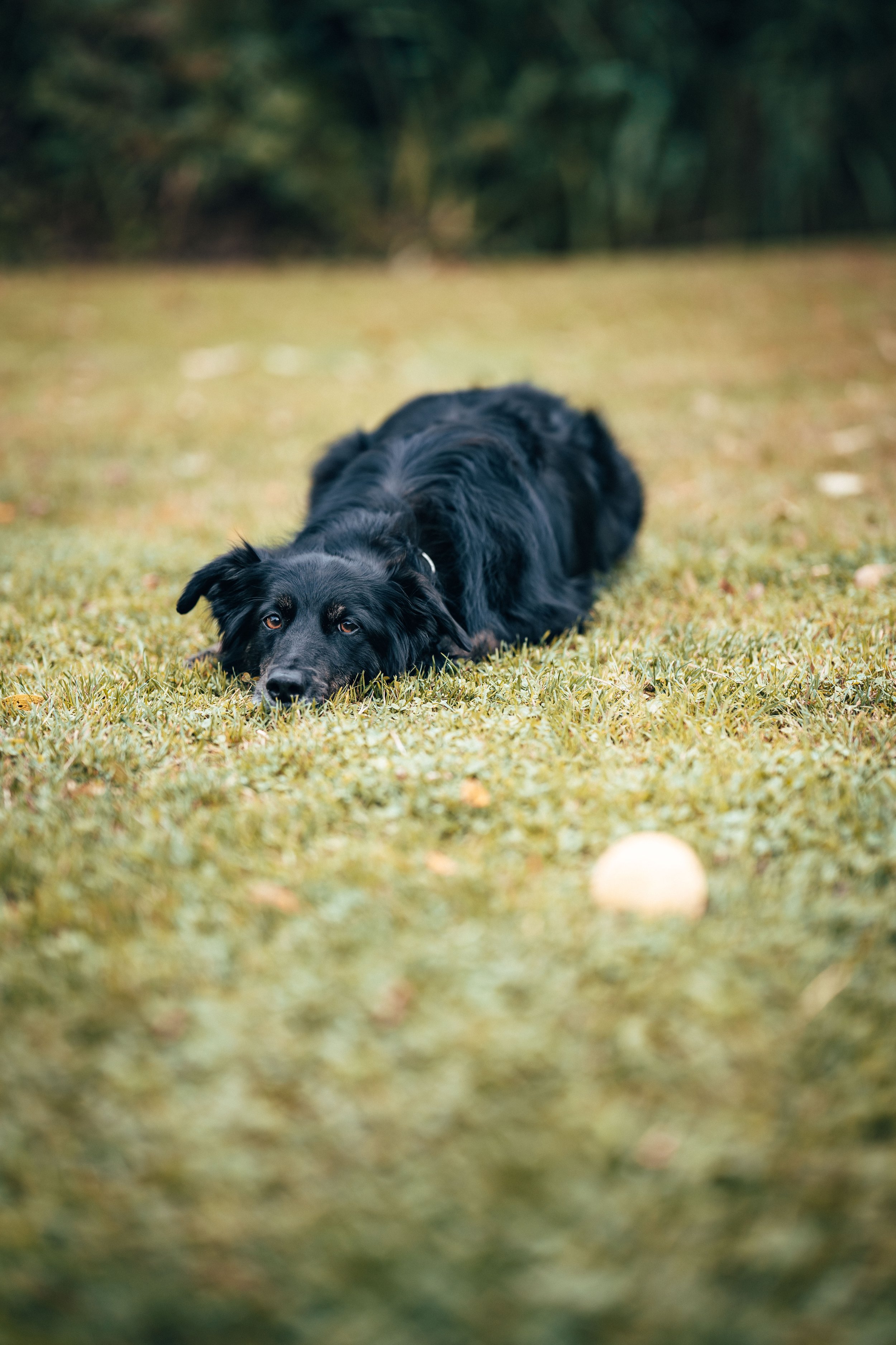Gavin & Sophie -- Low Hall The Lakes-17.jpg