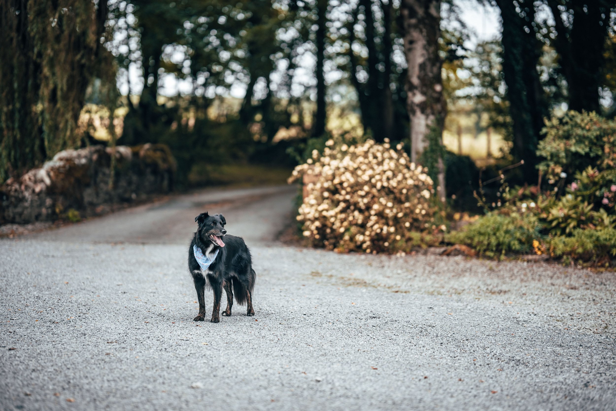 Gavin & Sophie -- Low Hall The Lakes-19.jpg