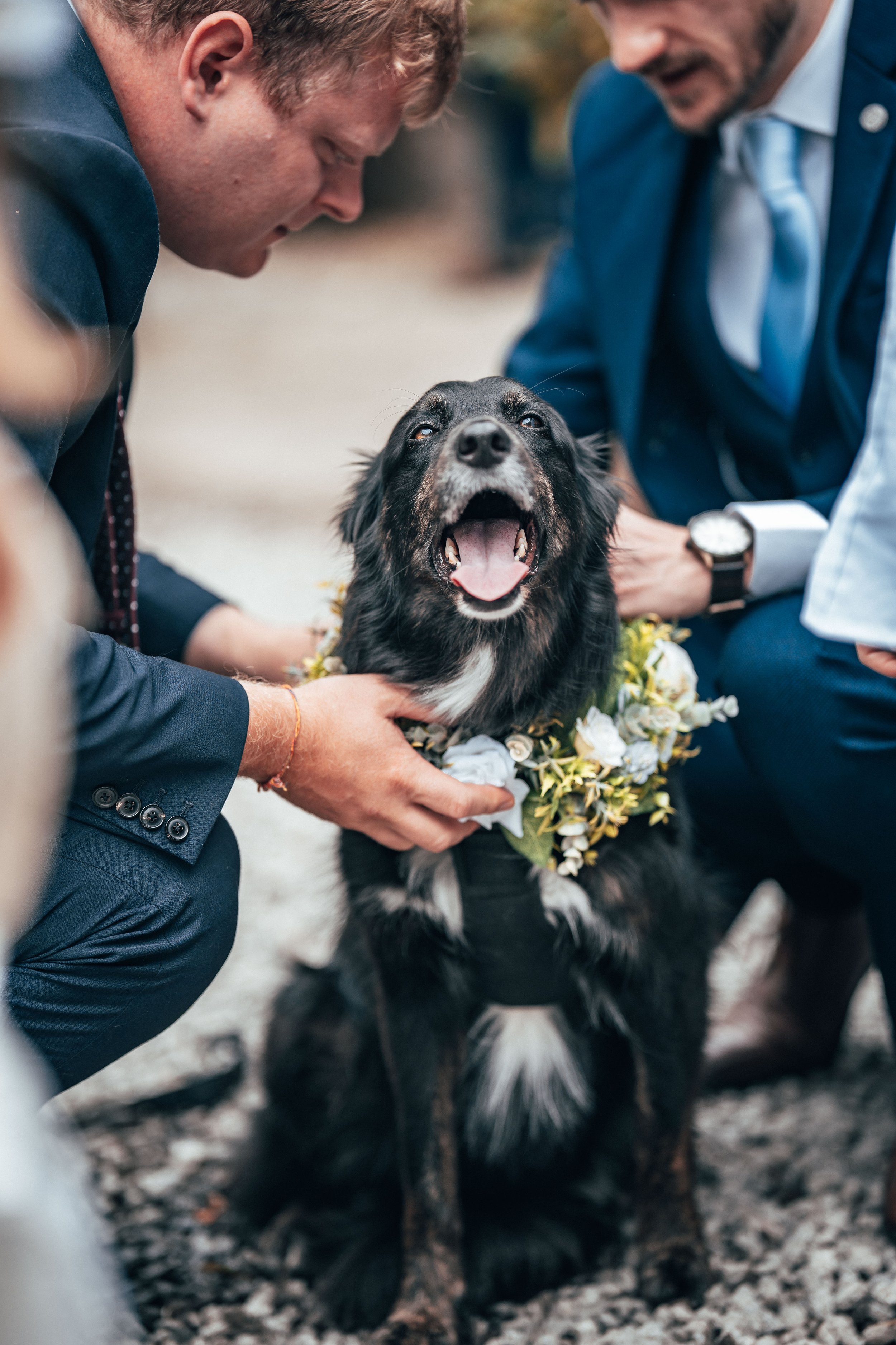 Gavin & Sophie -- Low Hall The Lakes-25.jpg