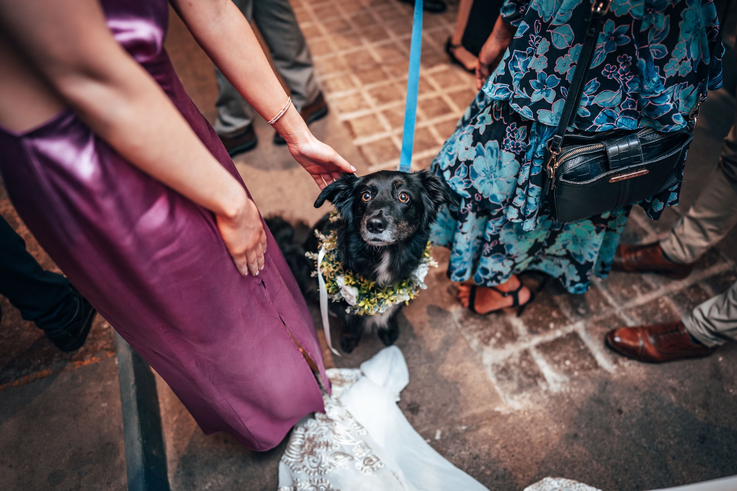 Gavin & Sophie -- Low Hall The Lakes-90.jpg