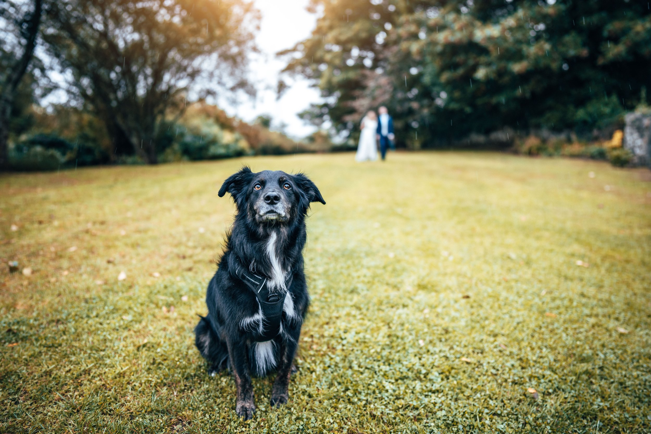 Gavin & Sophie -- Low Hall The Lakes-167.jpg